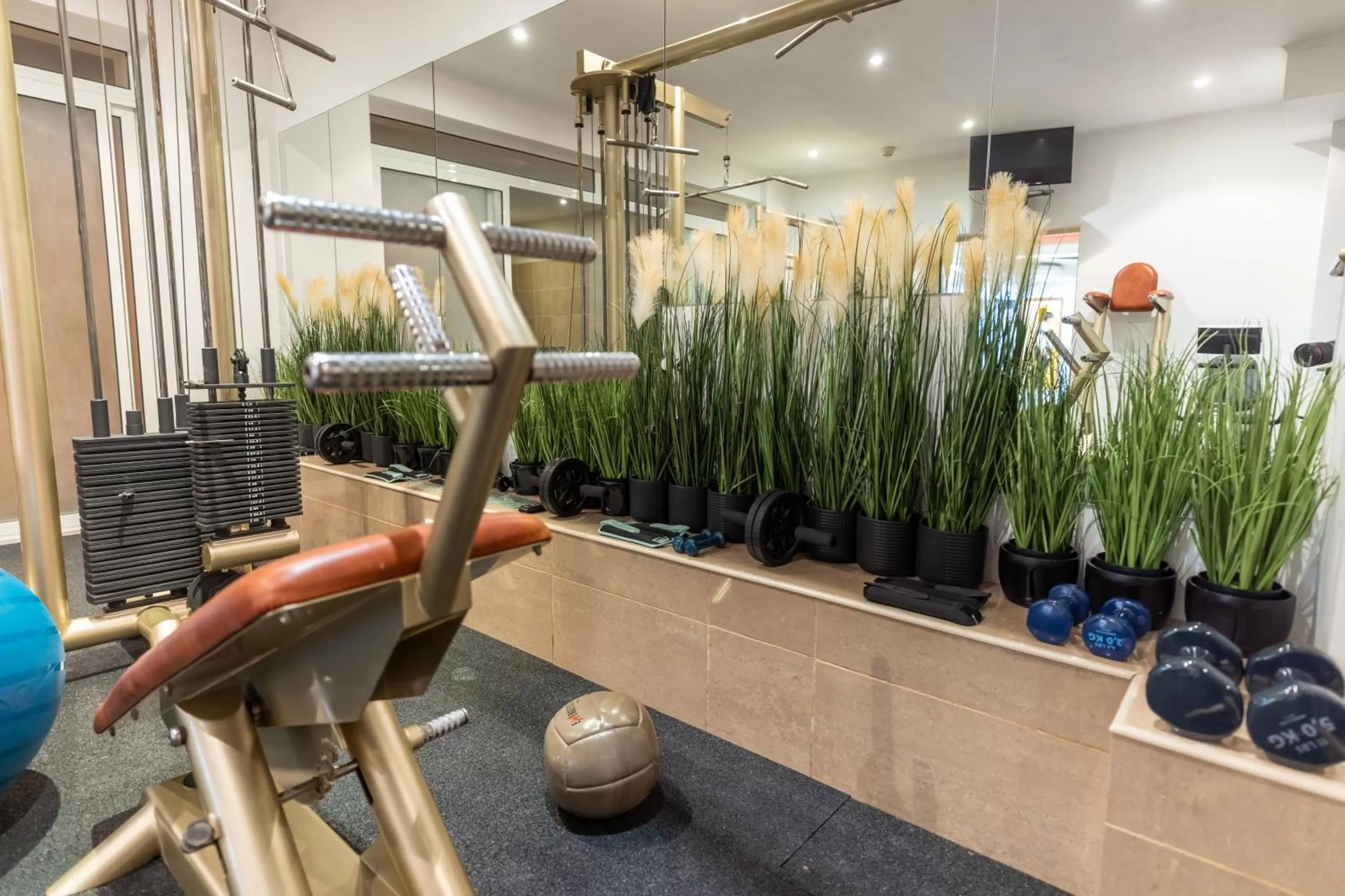 Spa and wellness centre/facilities in Hotel Sir Royal