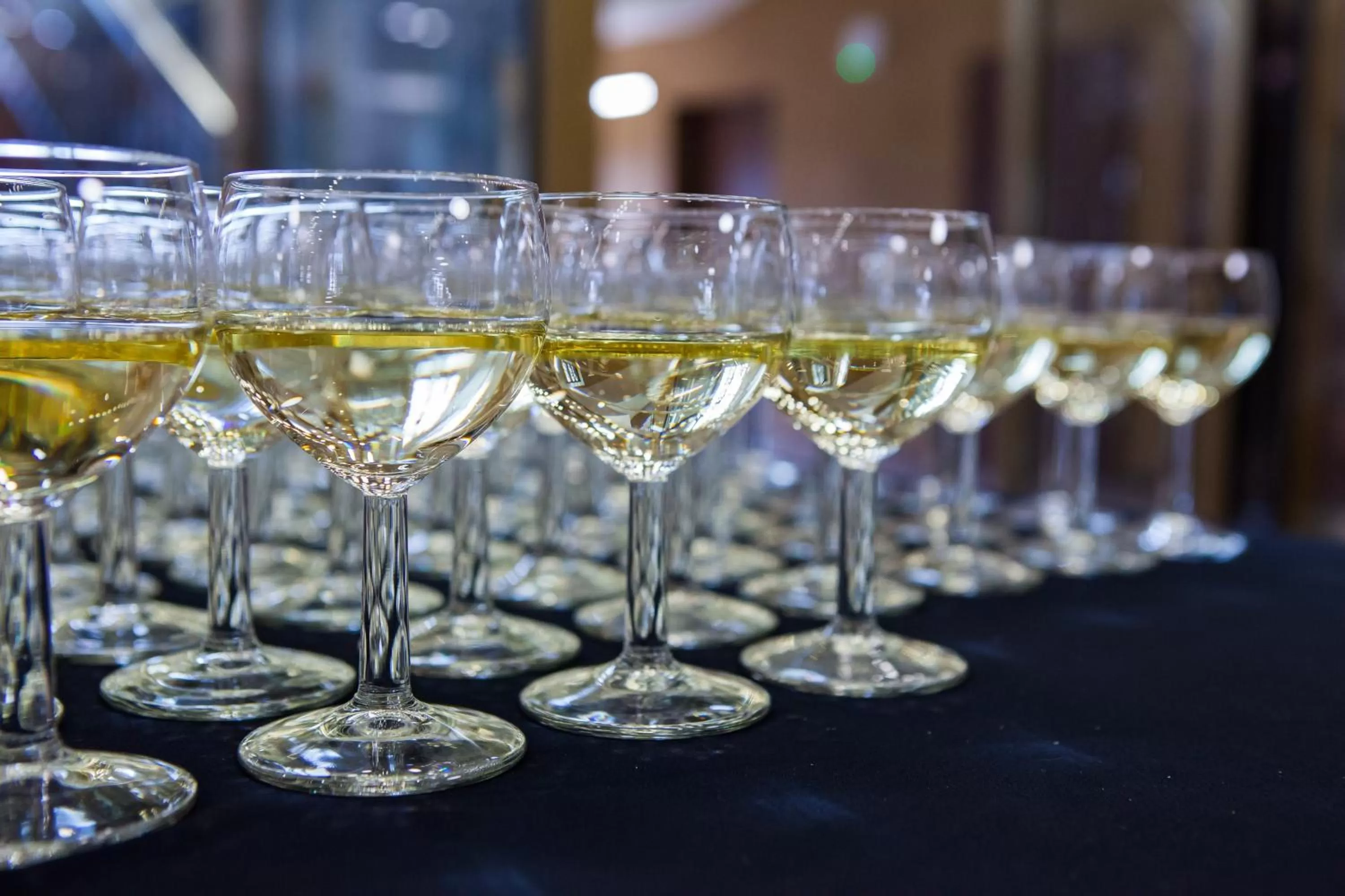 Alcoholic drinks in Hotel Wodnik