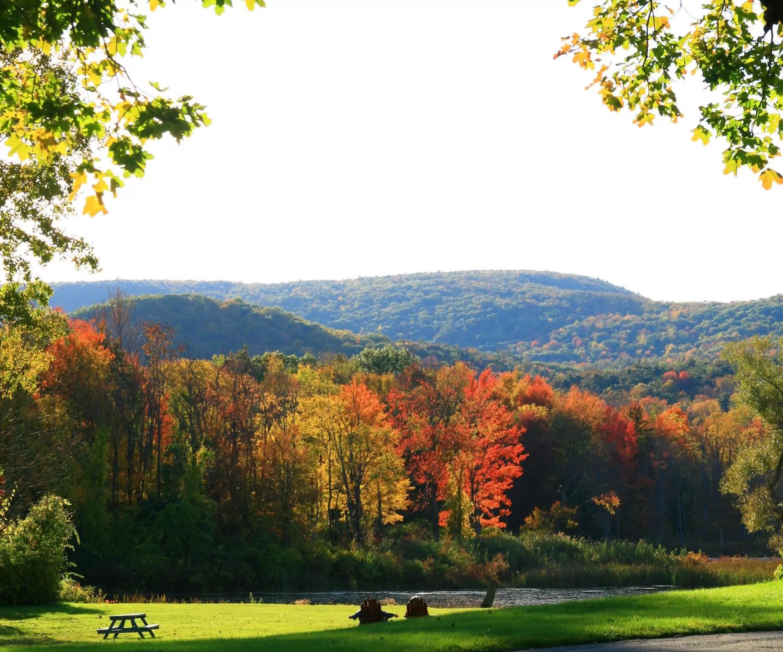 Day in The Yankee, Trademark Collection by Wyndham