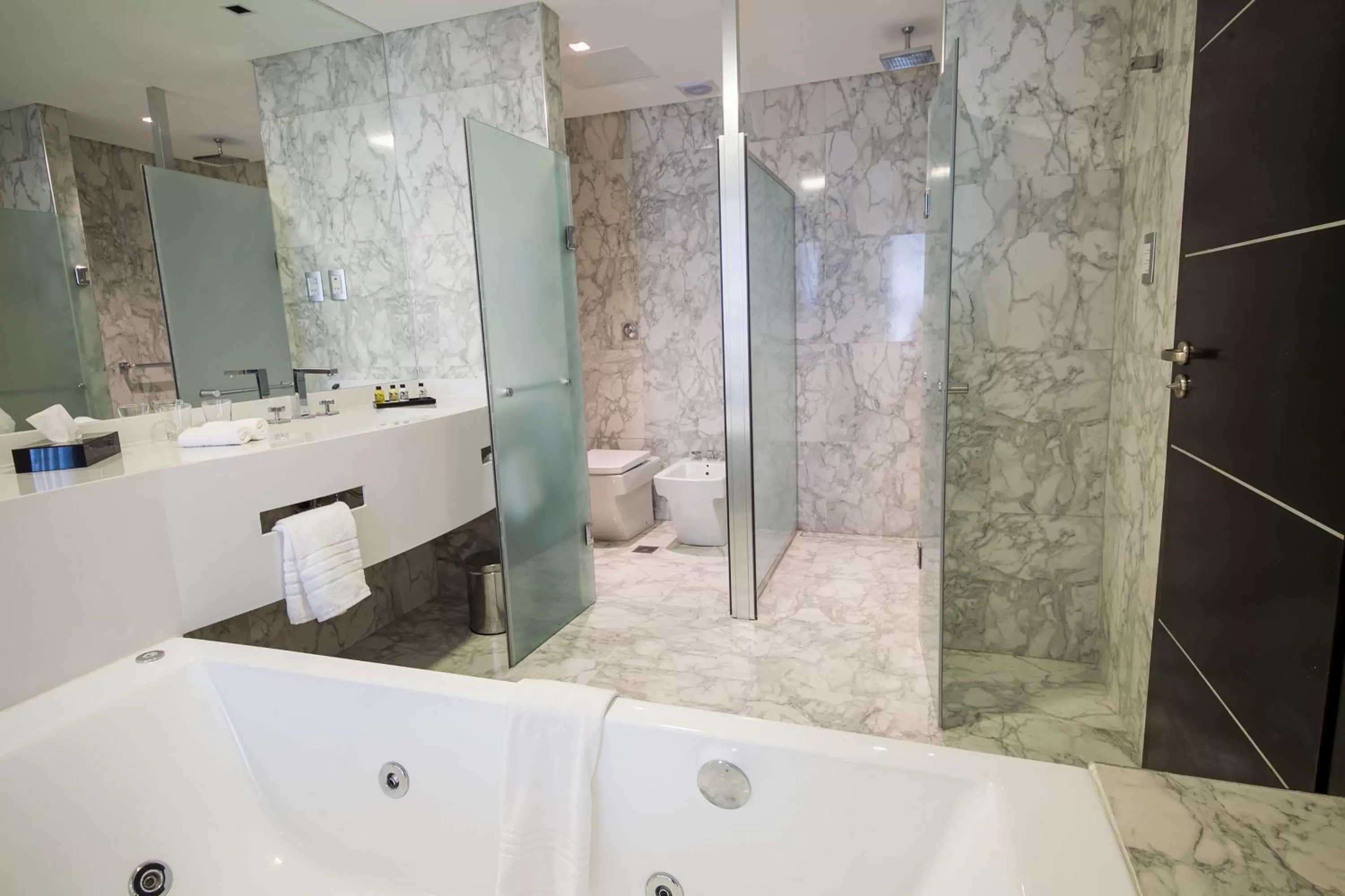 Bathroom in Hilton Garden Inn Santiago Del Estero - HILTON HOTELS