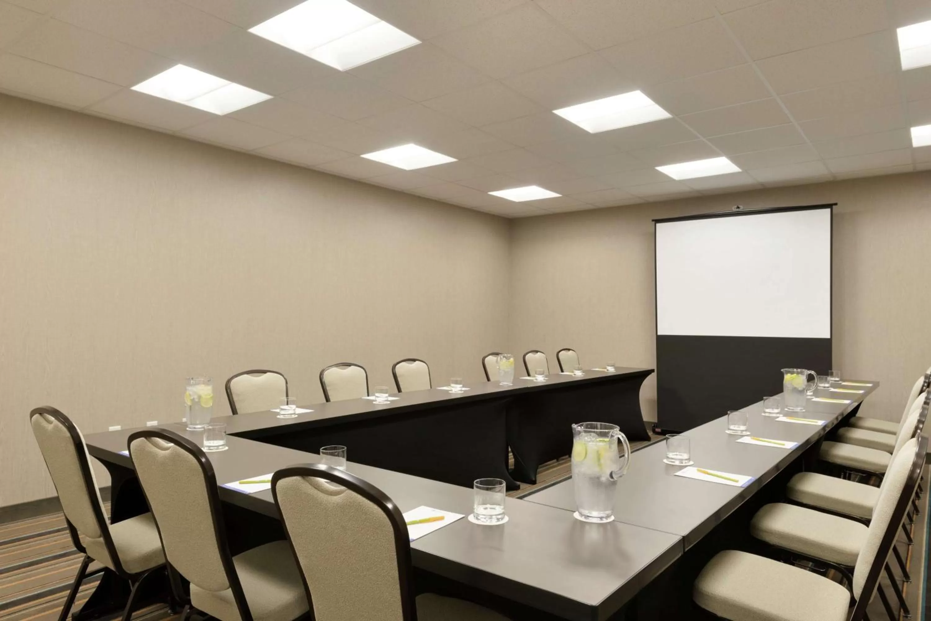 Meeting/conference room in Hilton Garden Inn Rochester - University & Medical Center