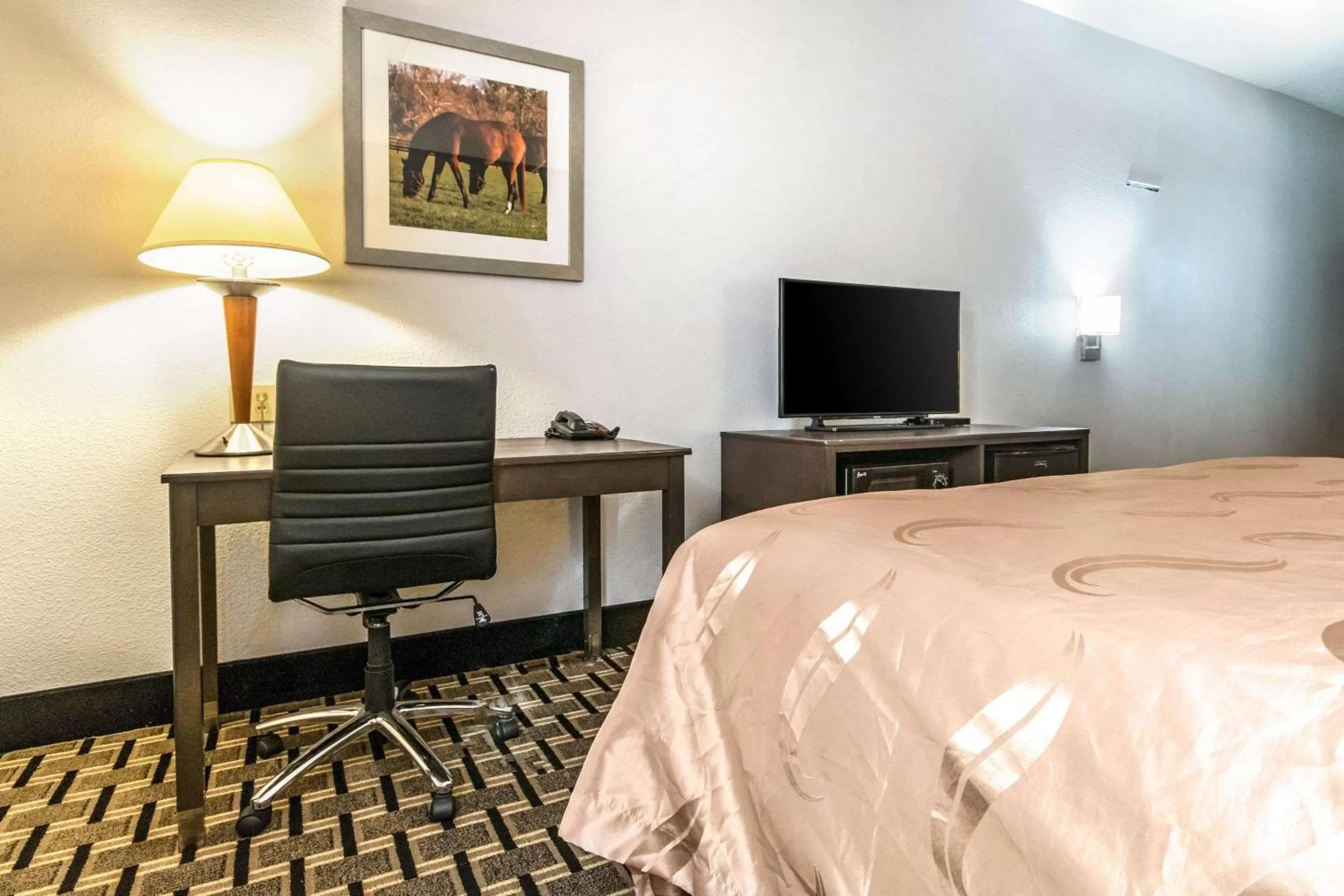 Photo of the whole room, Bed in Quality Inn Lexington East Hamburg Area