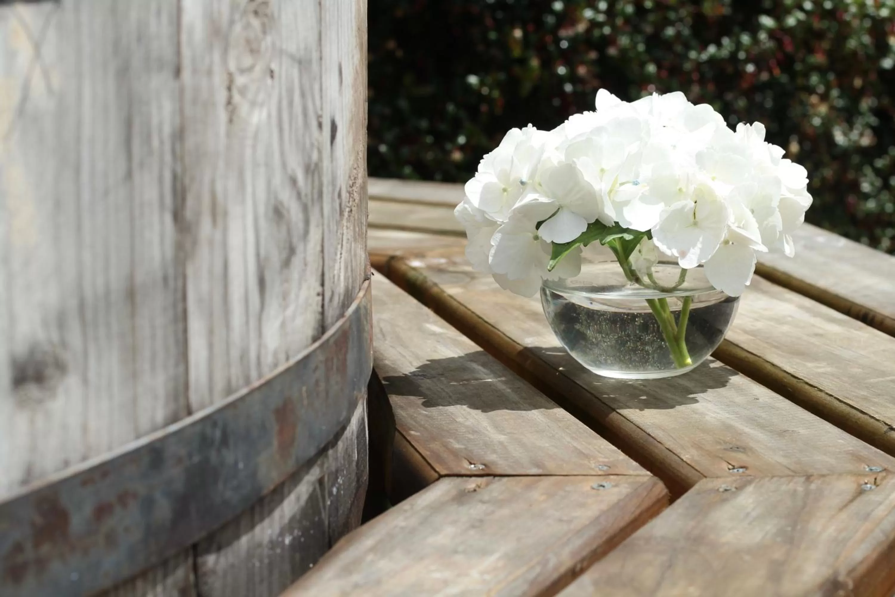 Day in Hotel Boutique Casa Werner