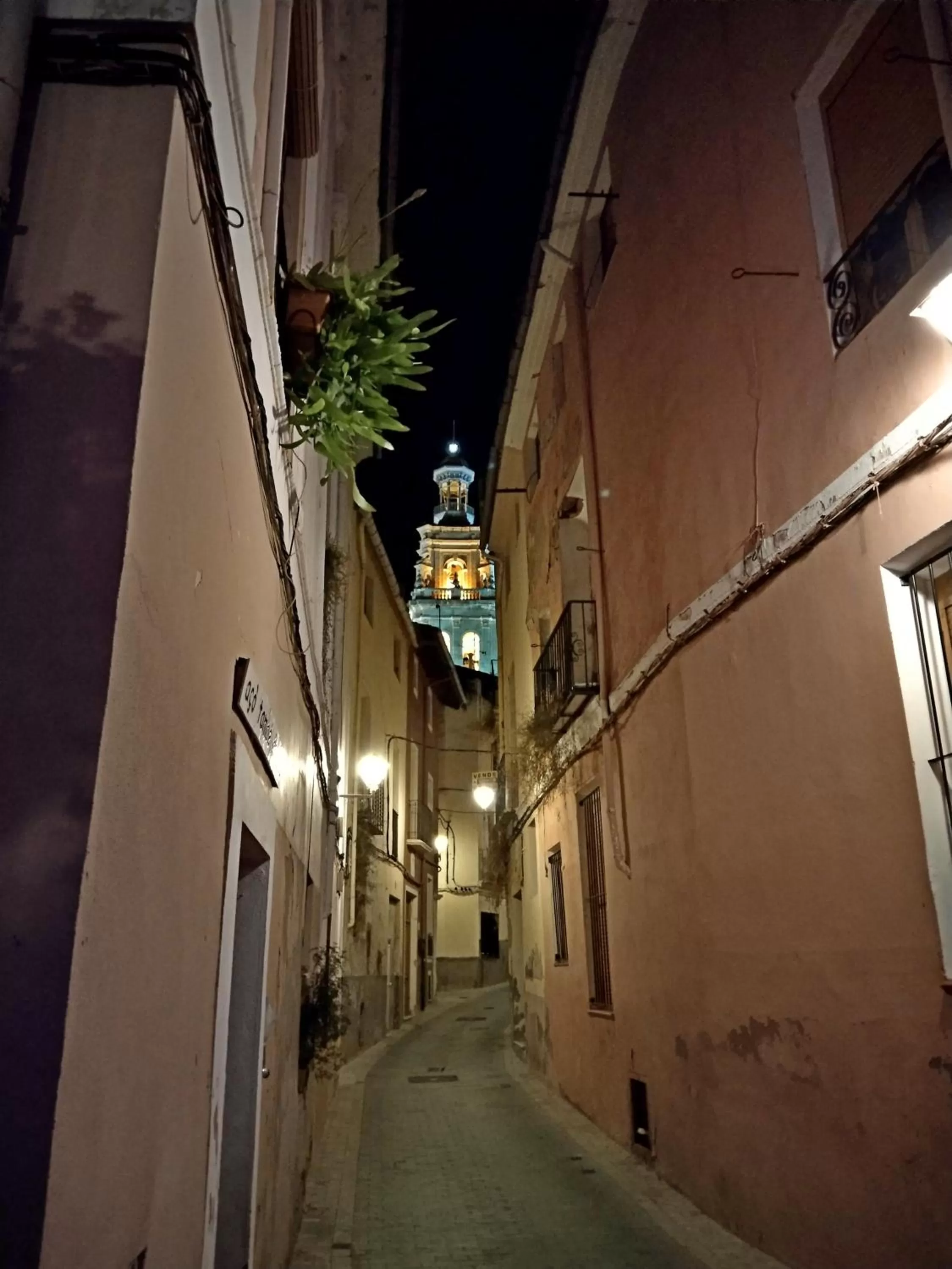 Area and facilities in Finca La Higuera - Boutique B&B