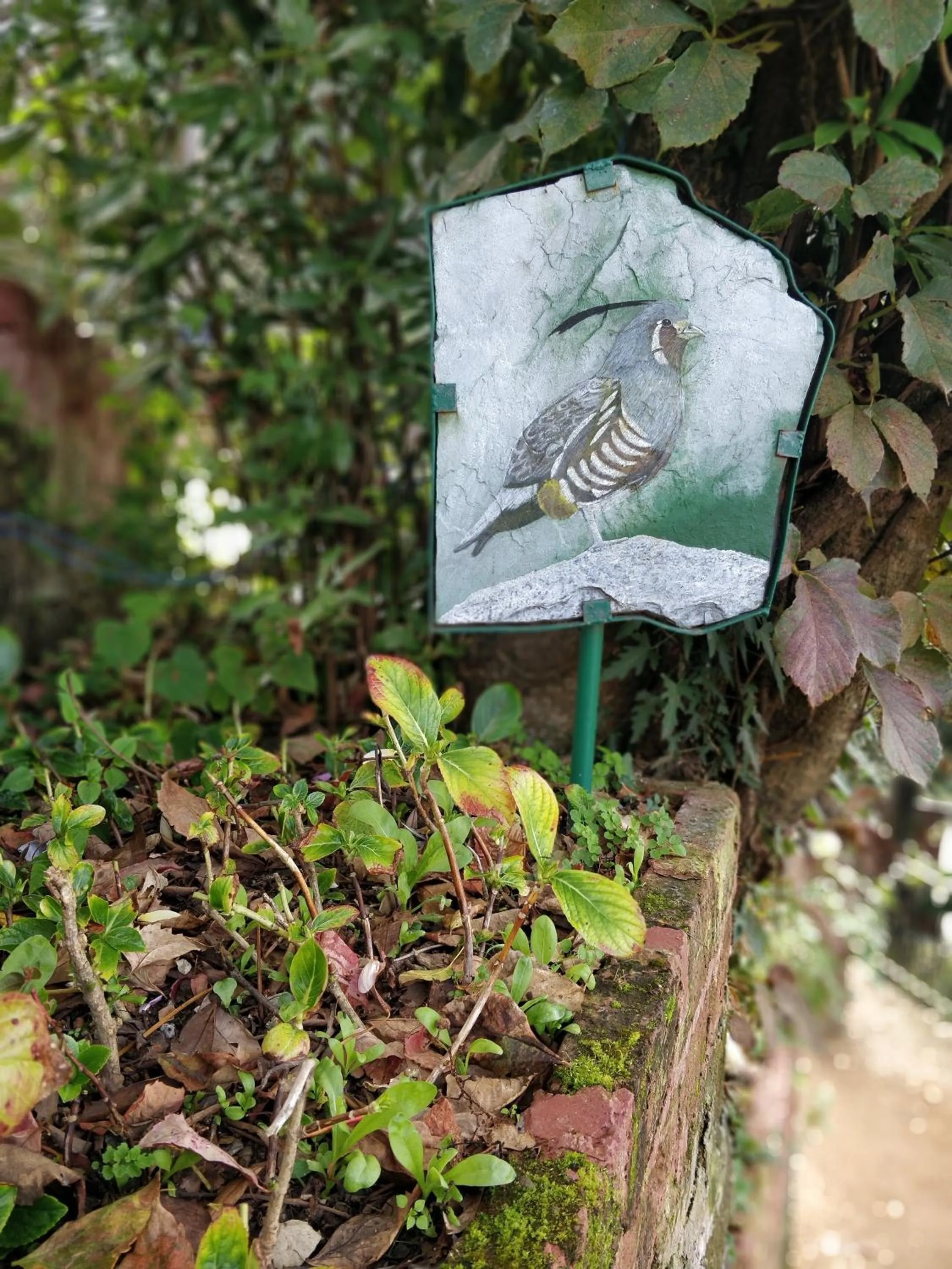 Property logo or sign in Hotel SunGrace