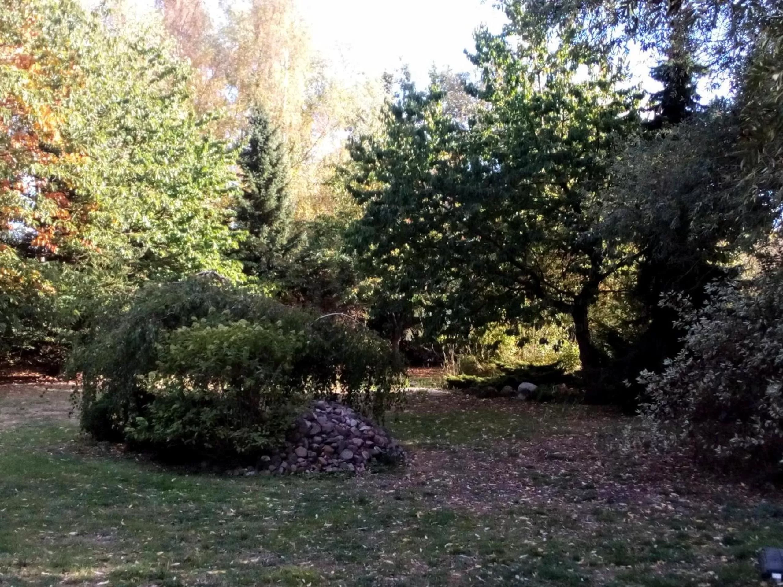 Hotel Leppiner Hof - B&B FRÜHSTÜCKSPENSION