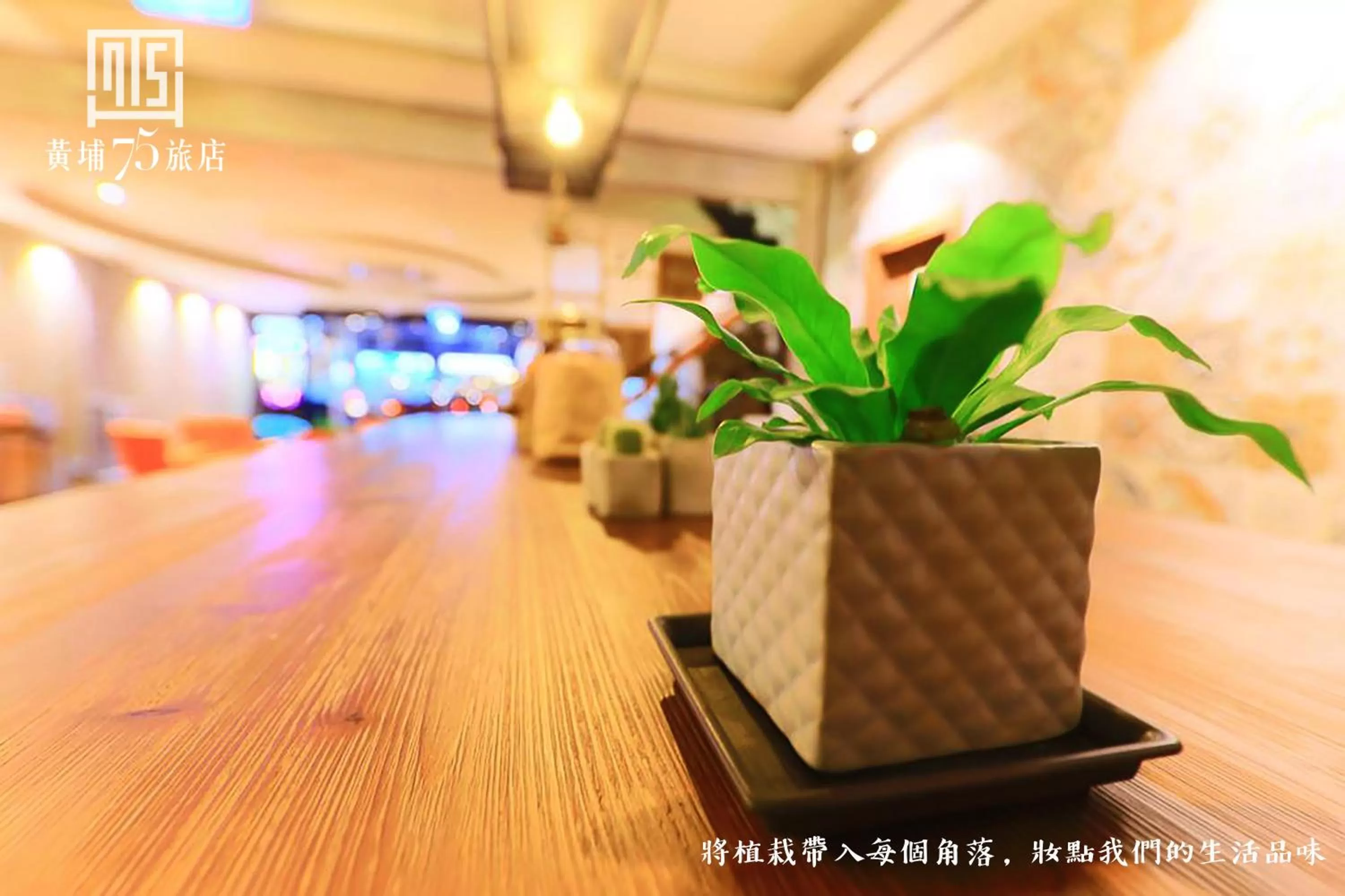 Decorative detail in Military 75 Hotel