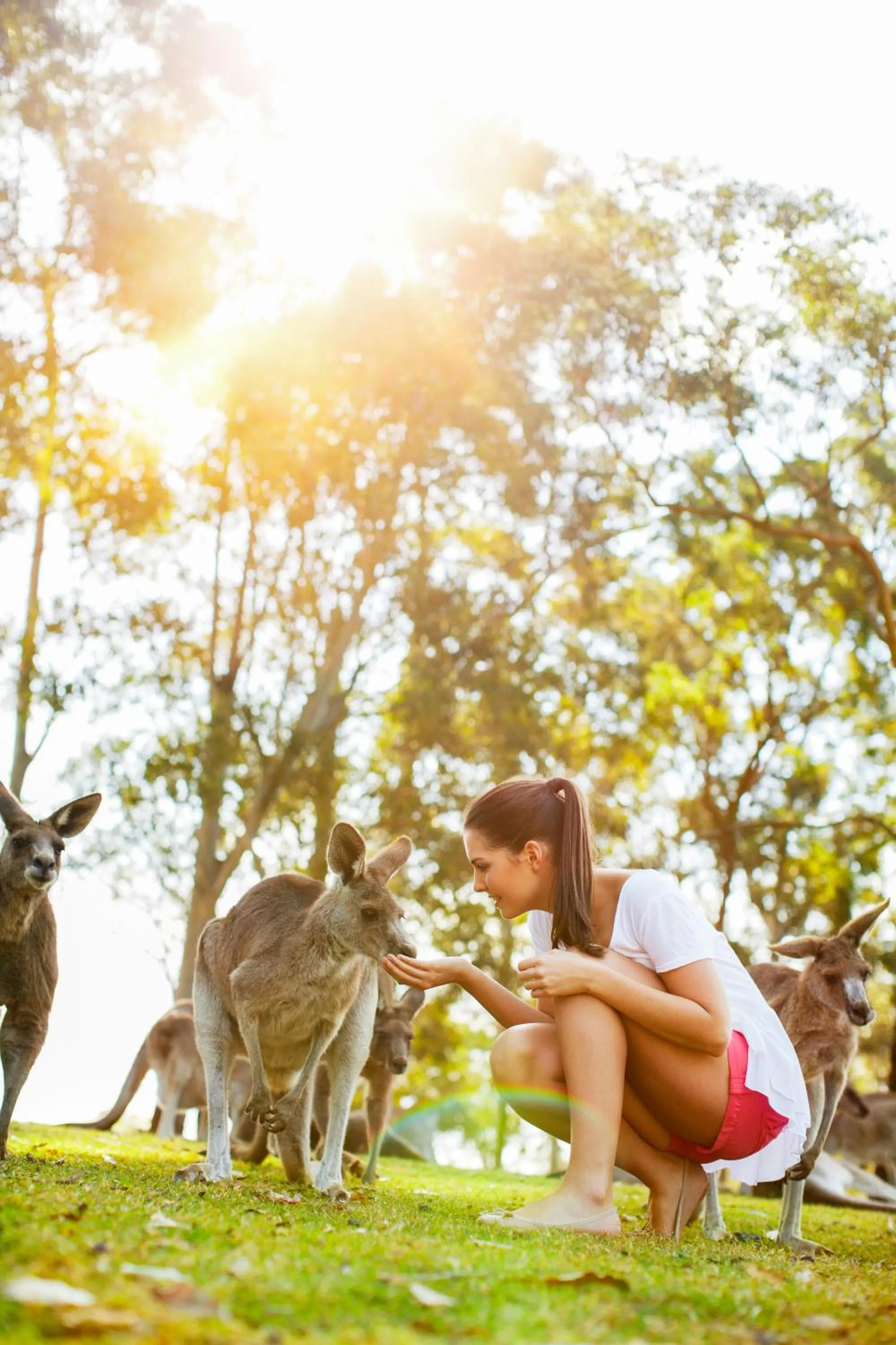 Nearby landmark in Toowong Central Motel Apartments
