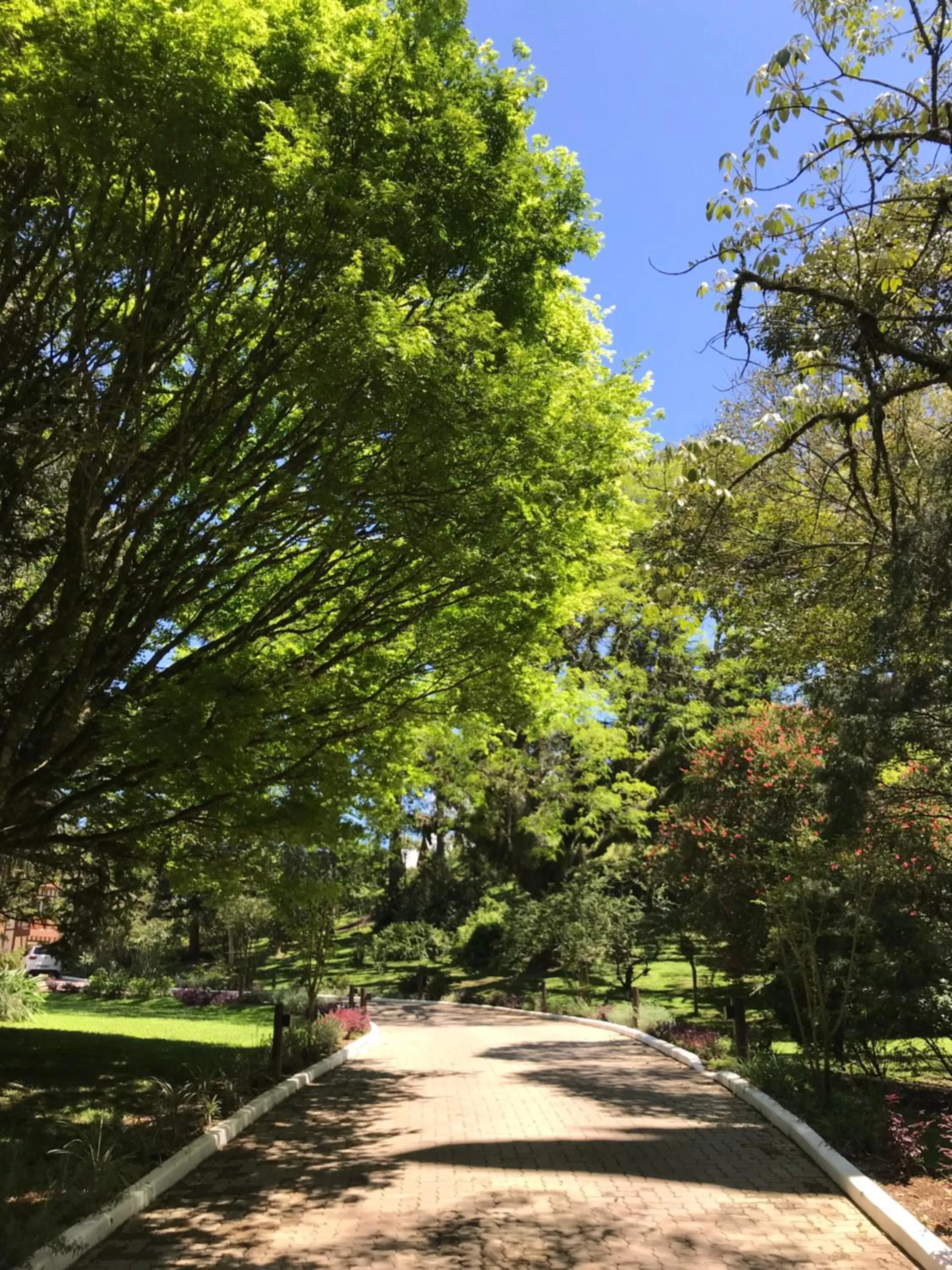 Natural landscape in Hotel Jardins da Colina