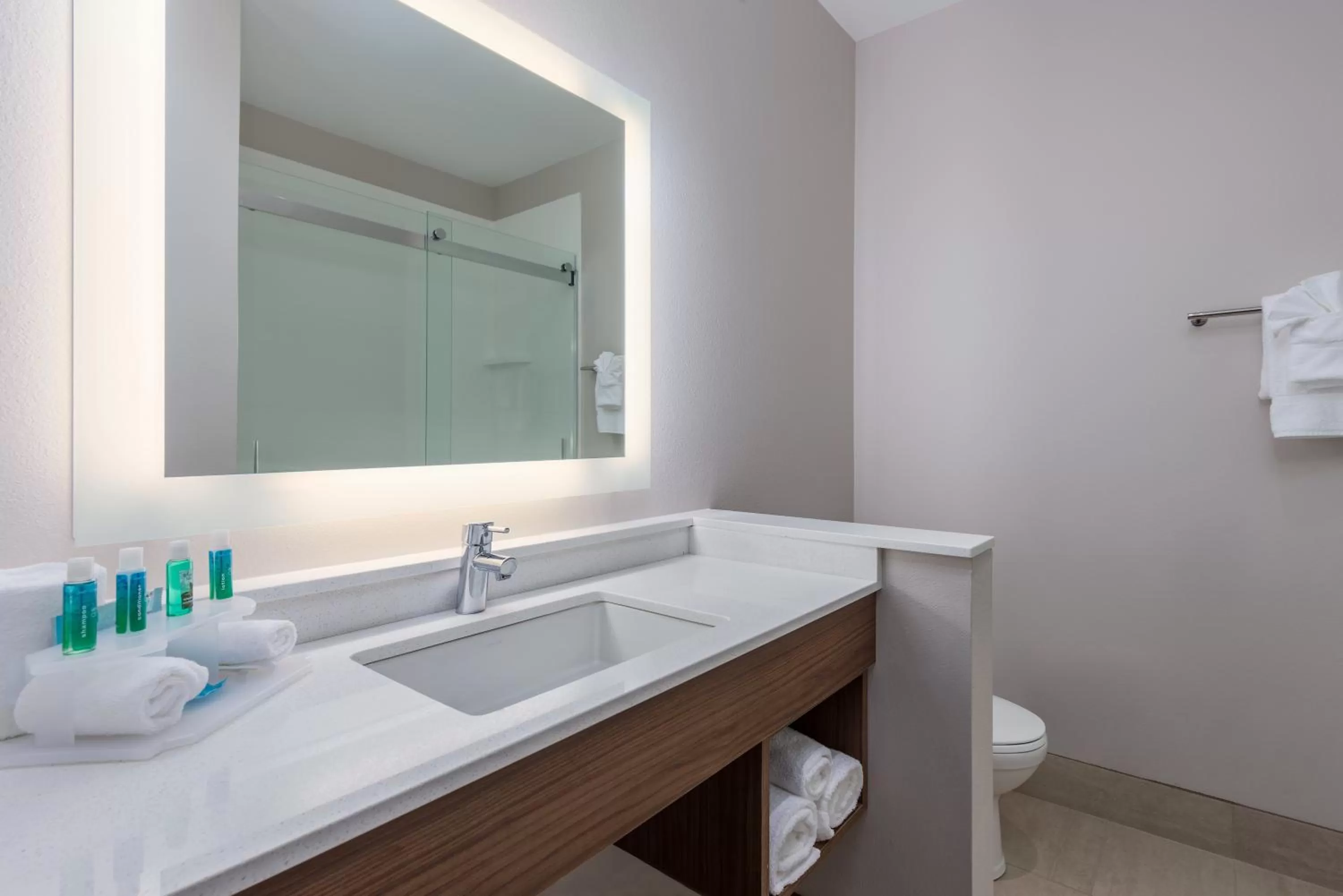 Bathroom in Holiday Inn Express Troy by IHG