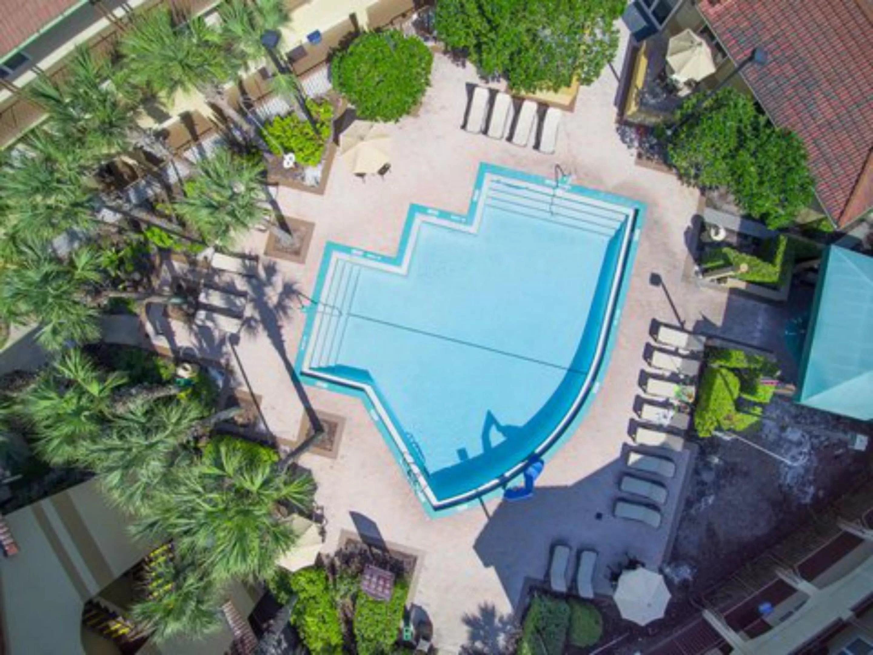Swimming pool in Blue Tree Resort at Lake Buena Vista