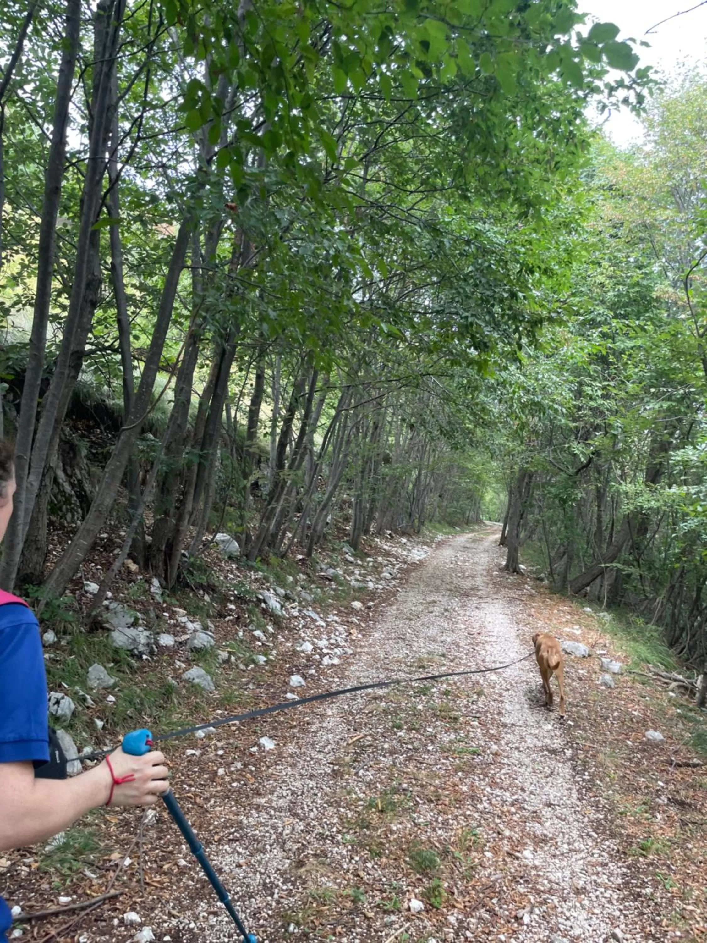 Casa Valcellina Hotel Ristorante