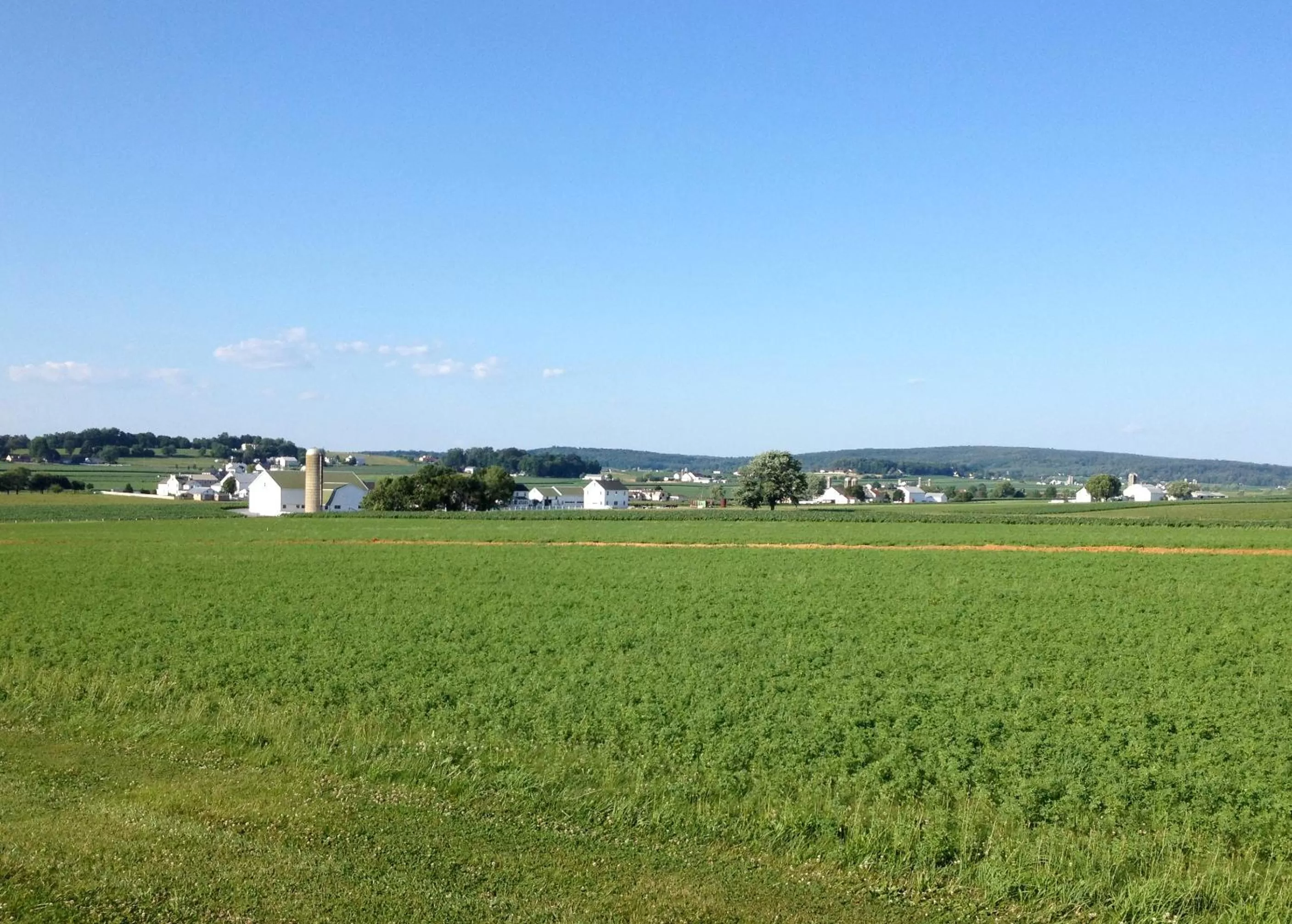 Day in Travelers Rest Motel