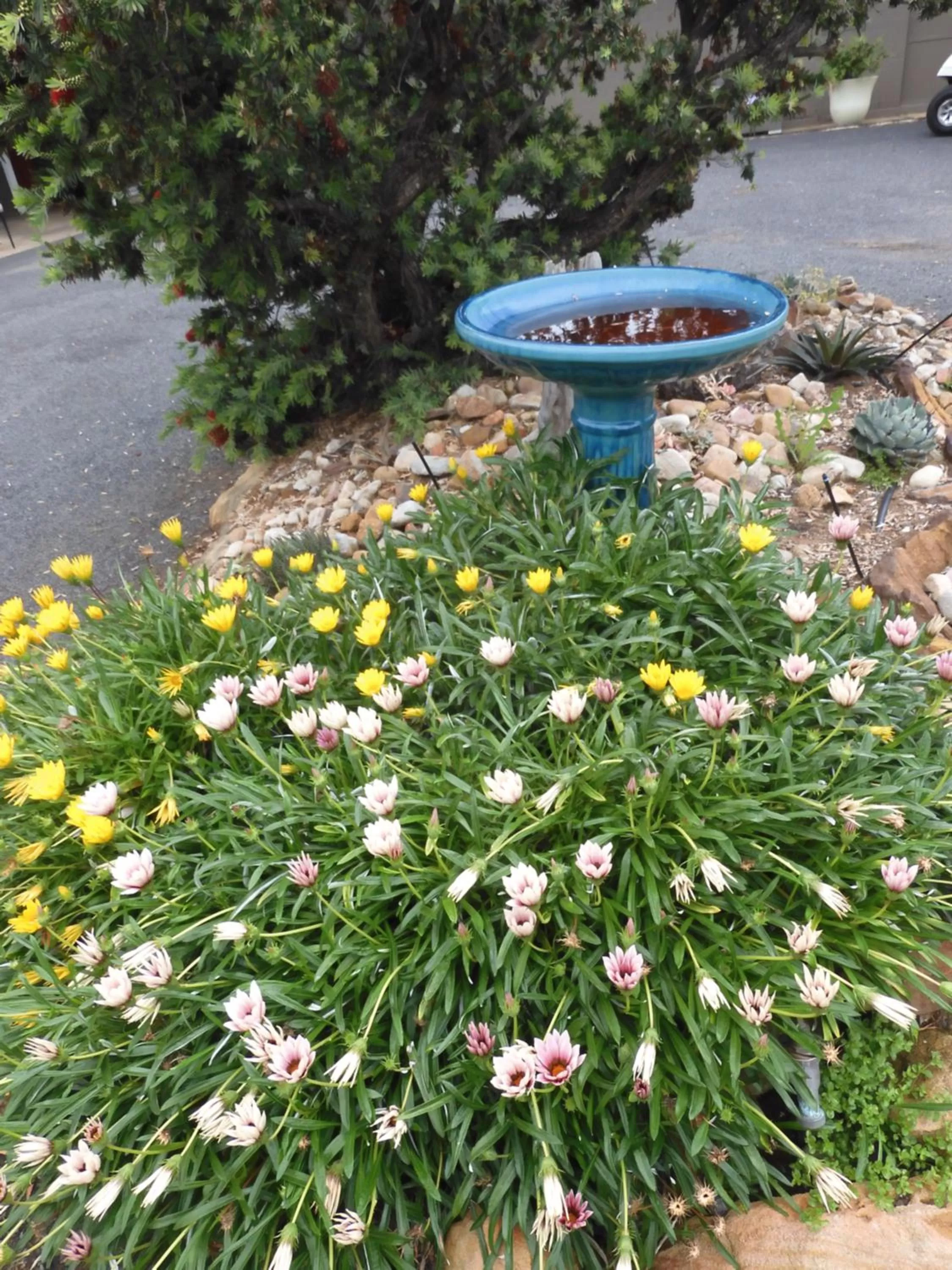 Property building in Dalby Parkview Motel