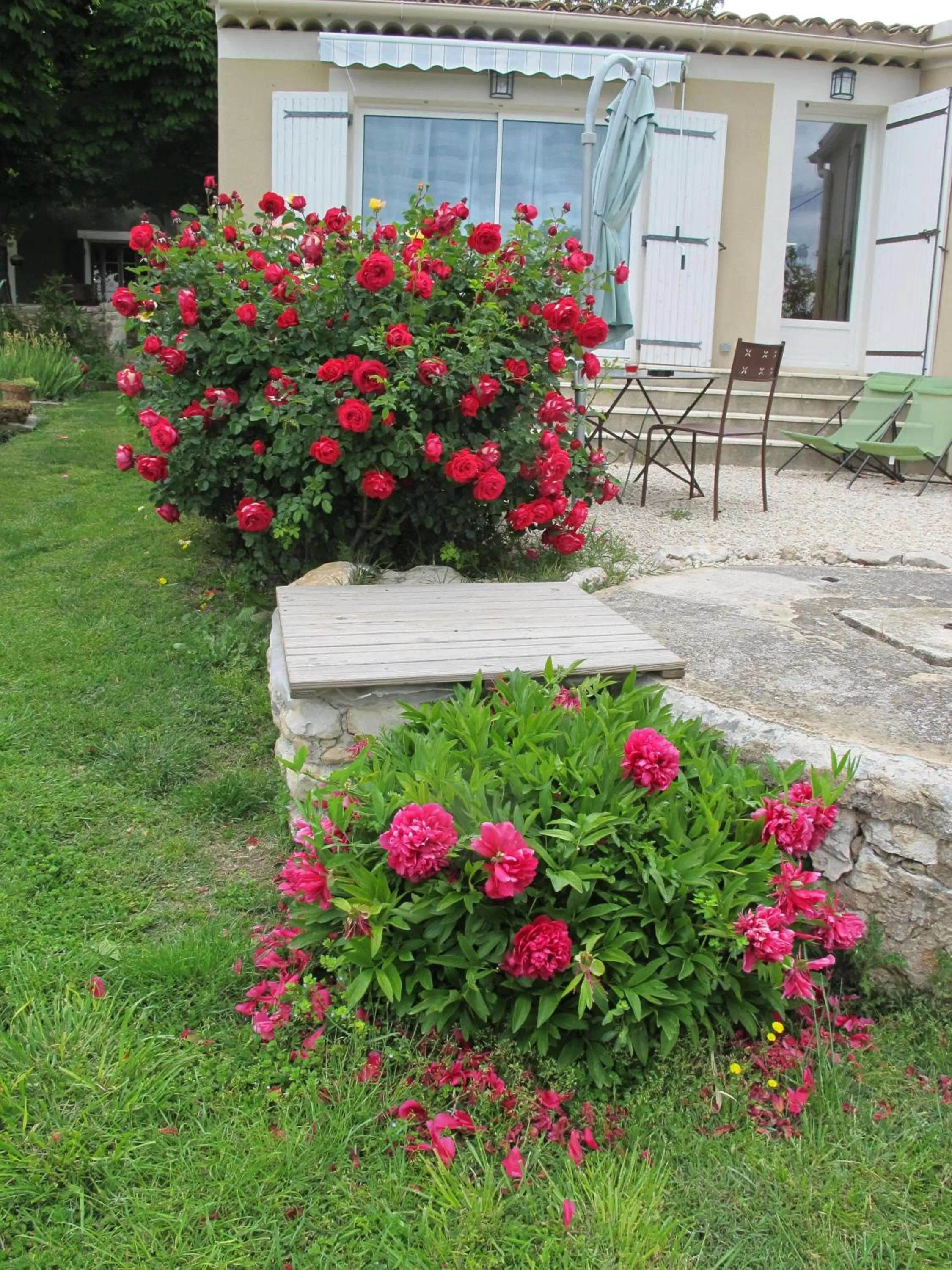 Garden in Lou Cardalines