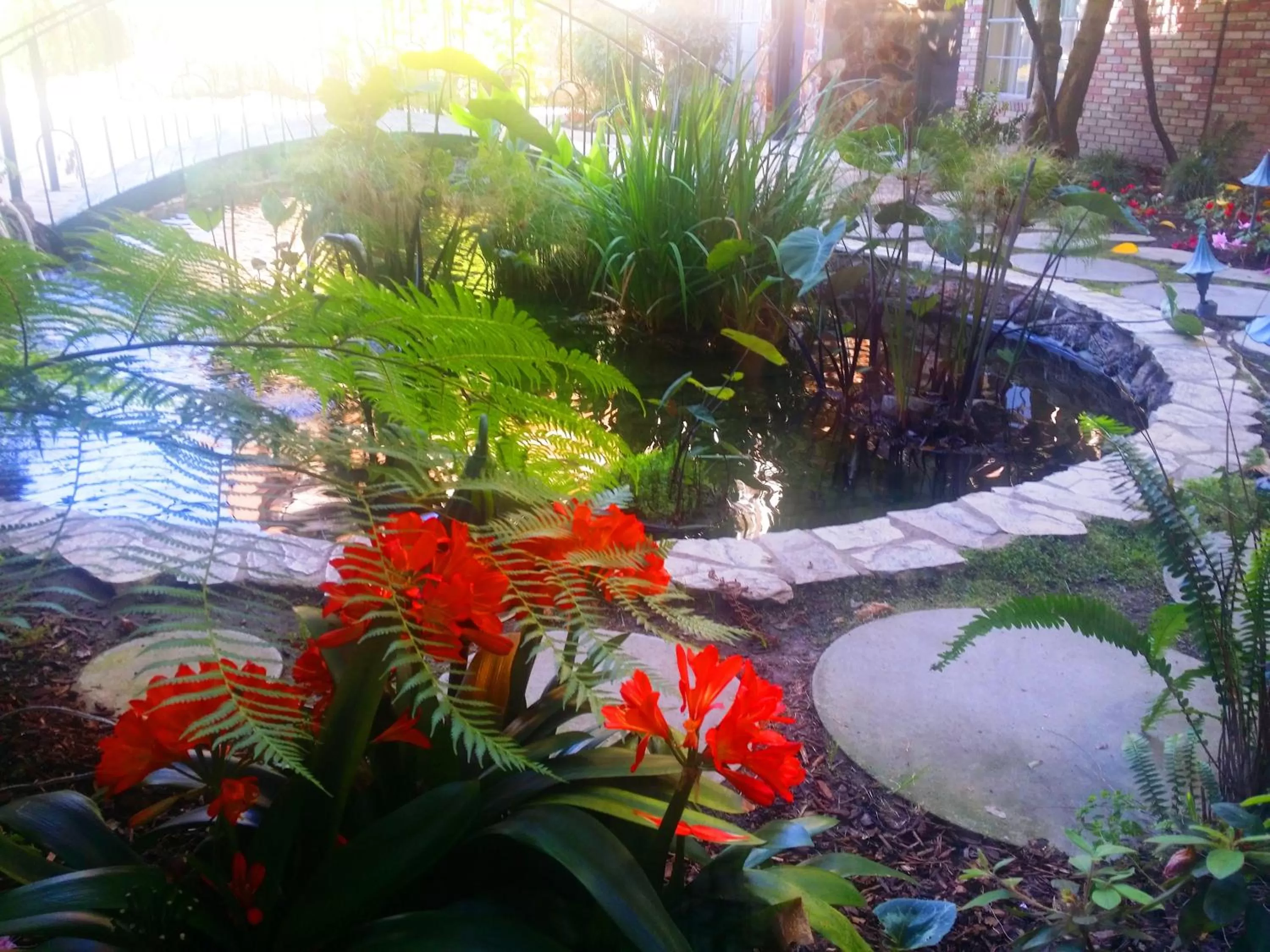 Garden in Anaheim Majestic Garden Hotel