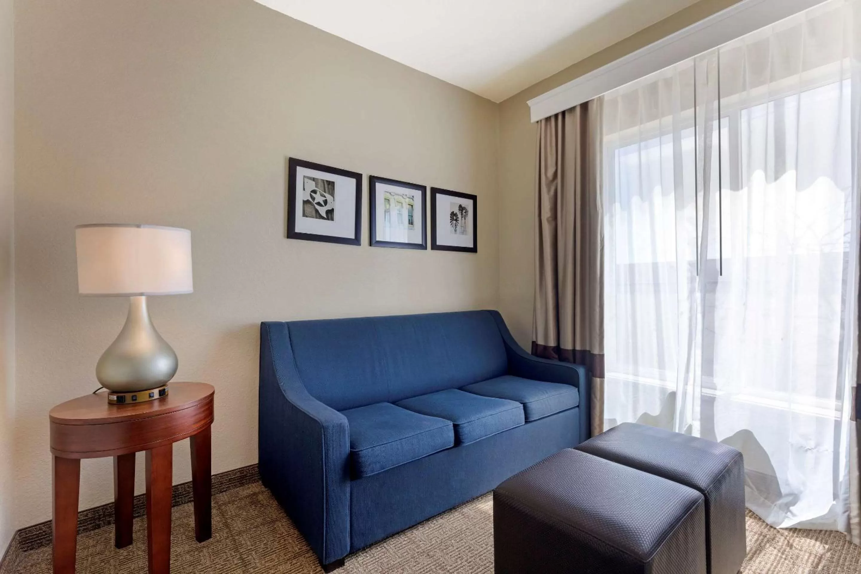 Photo of the whole room in Comfort Suites Gainesville