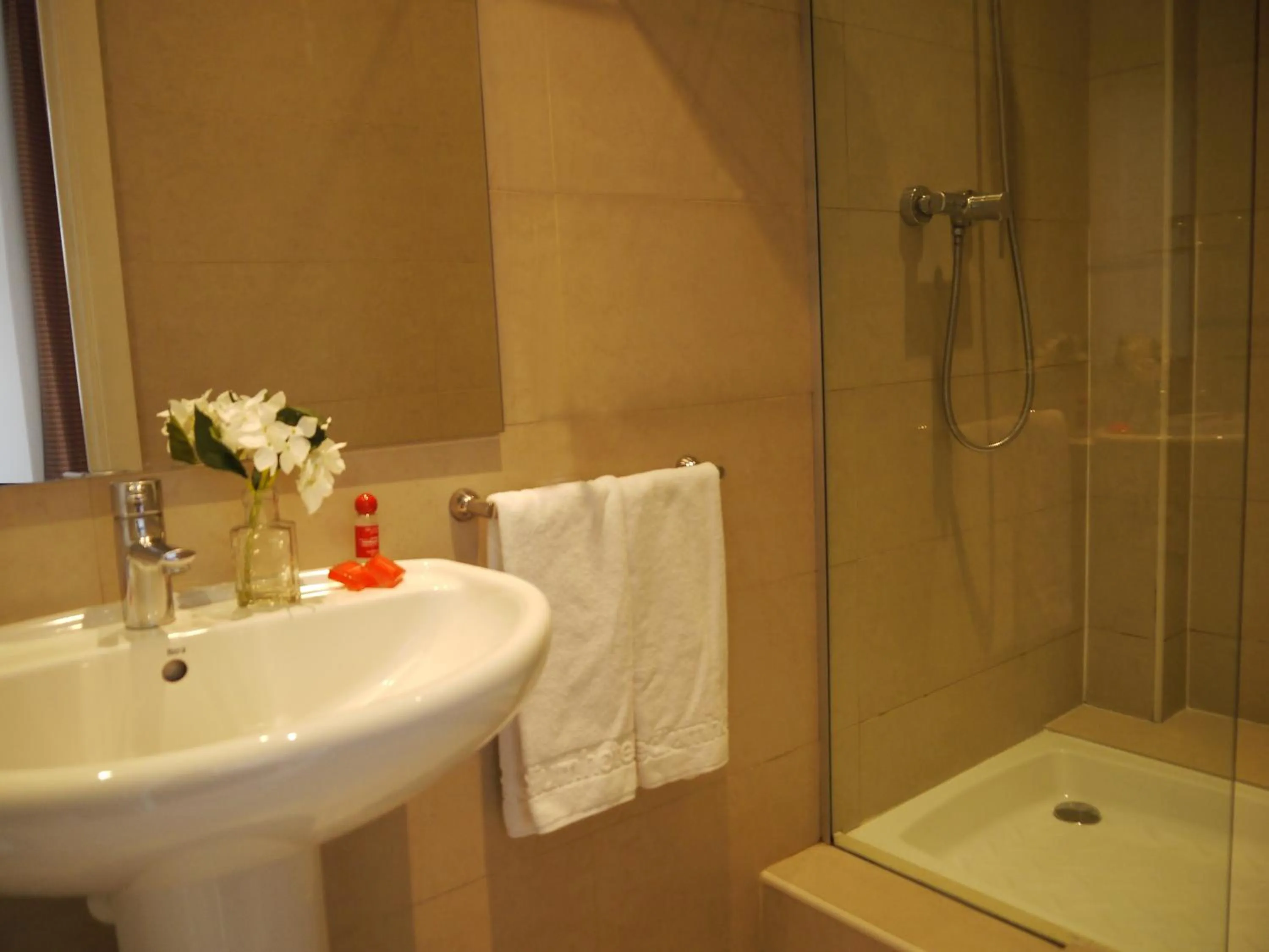 Bathroom in Hotel Monegal