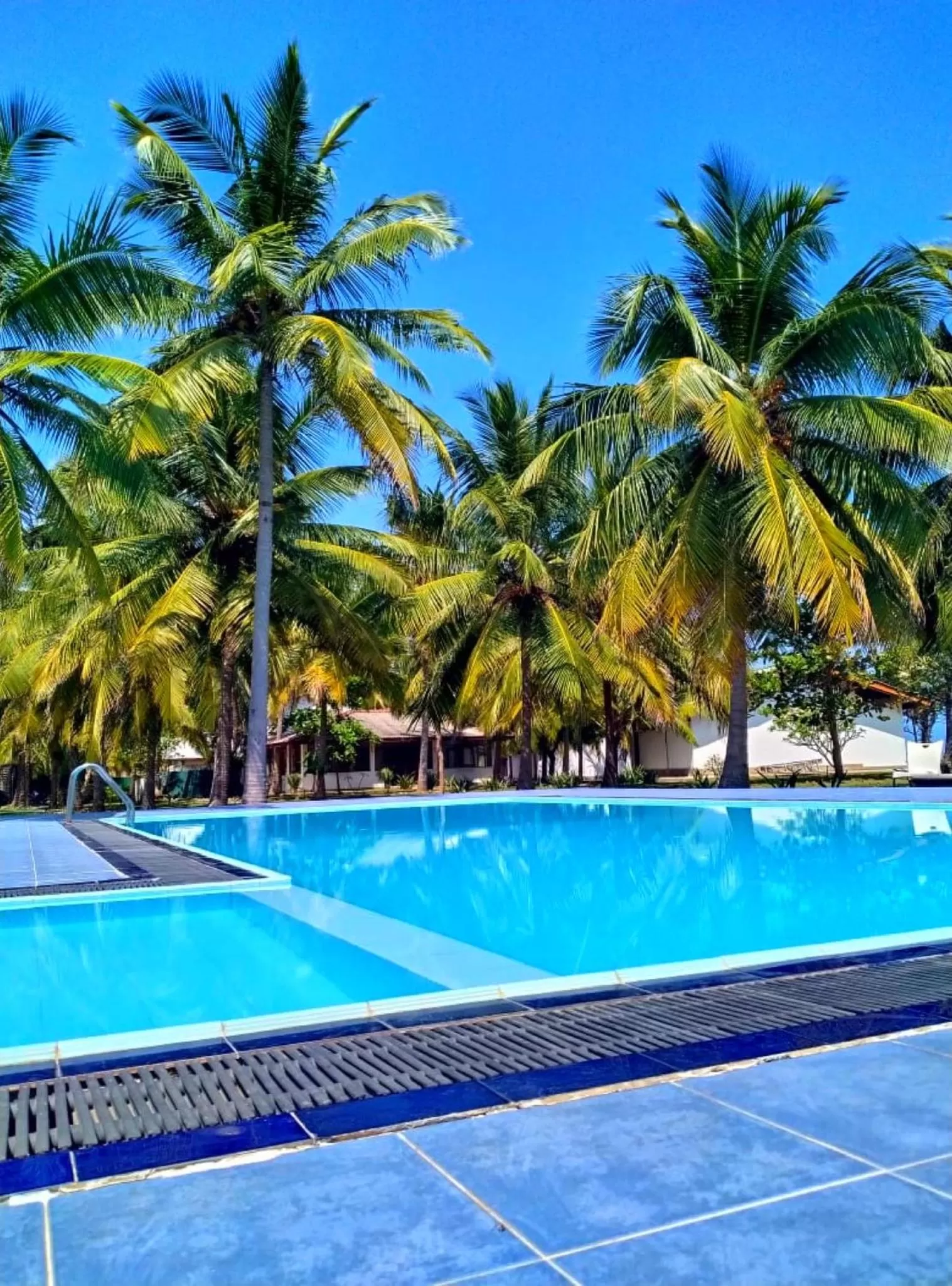 Swimming pool in Pearl Oceanic Resort - Trincomalee