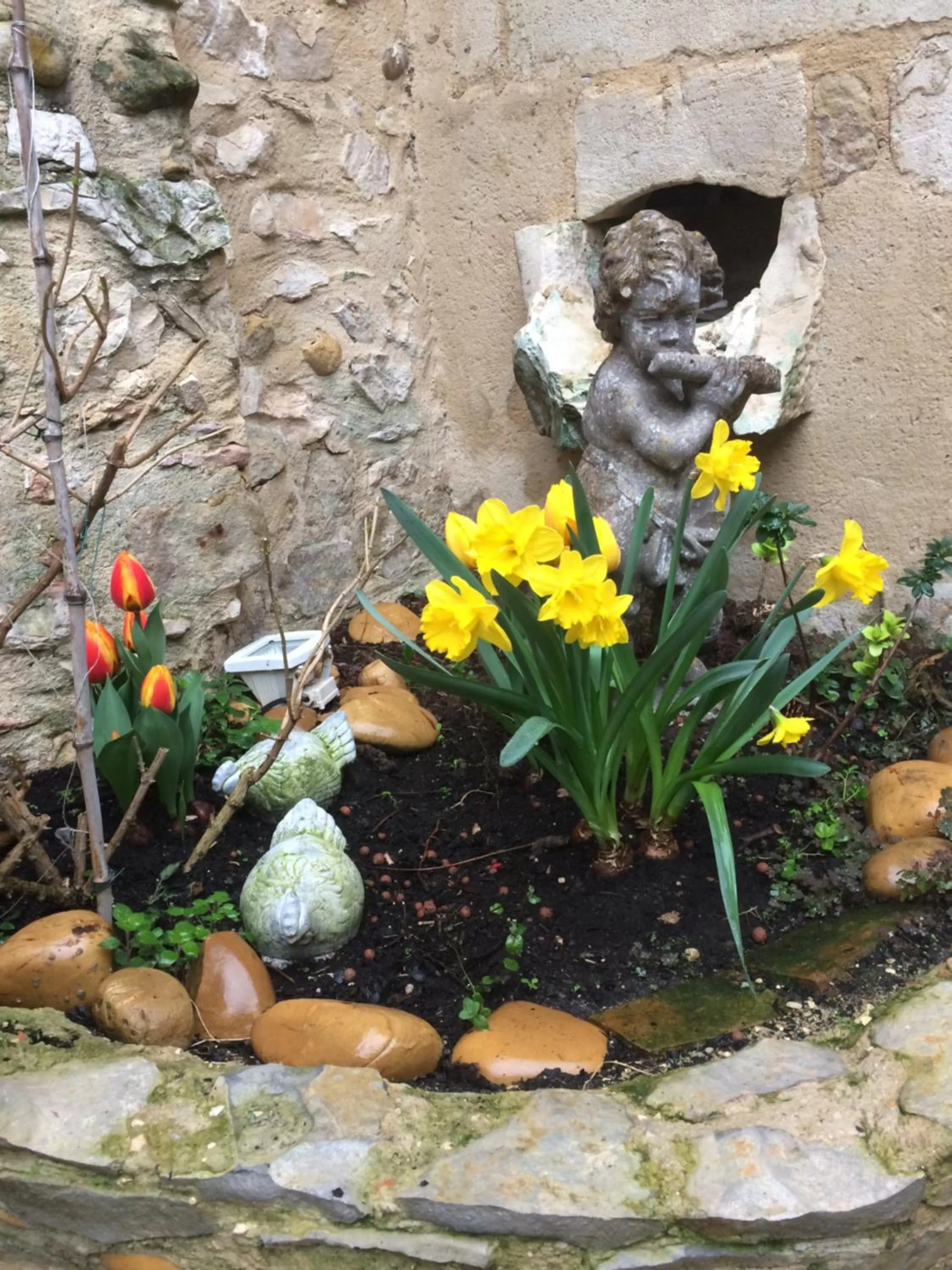 Garden in Hotel Le Saint Laurent
