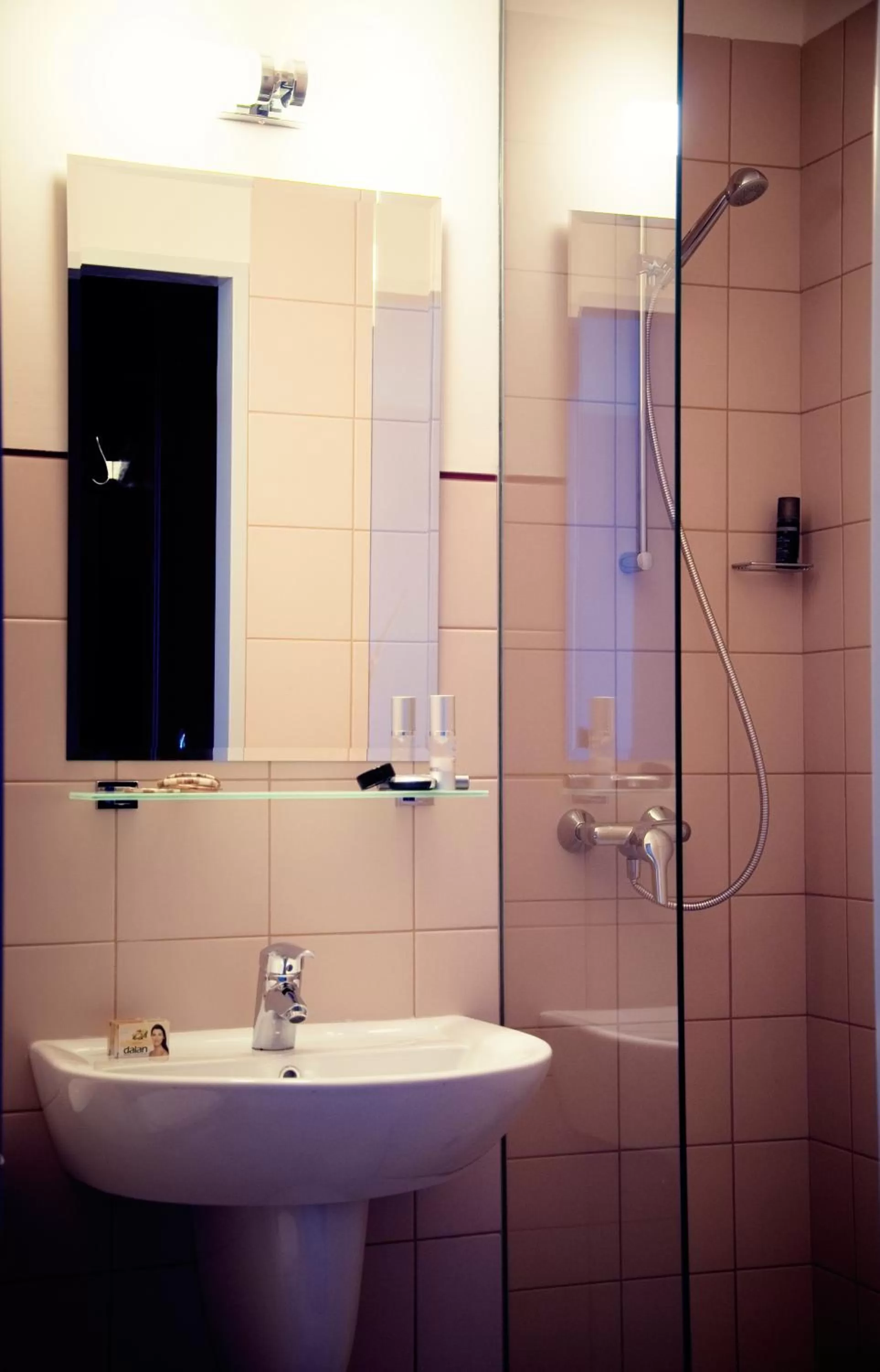 Shower in Hotel Śląsk