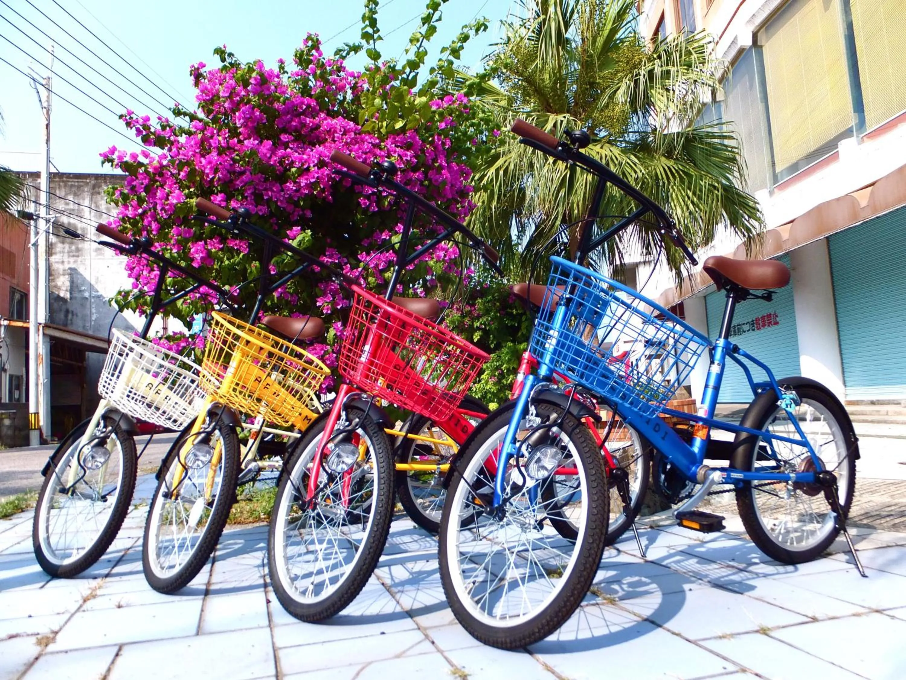 Cycling in Aoshima Guesthouse Hooju