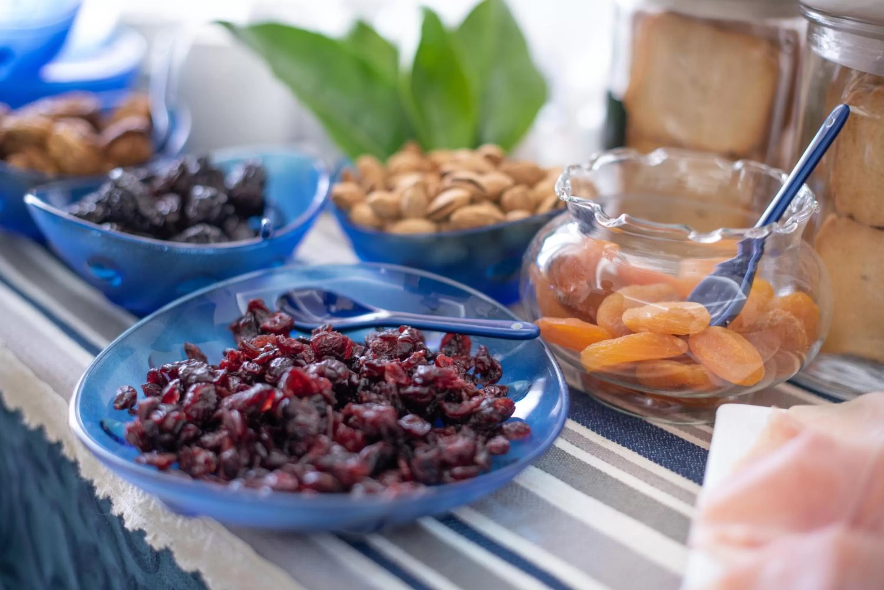 Buffet breakfast in B&B Toma Street