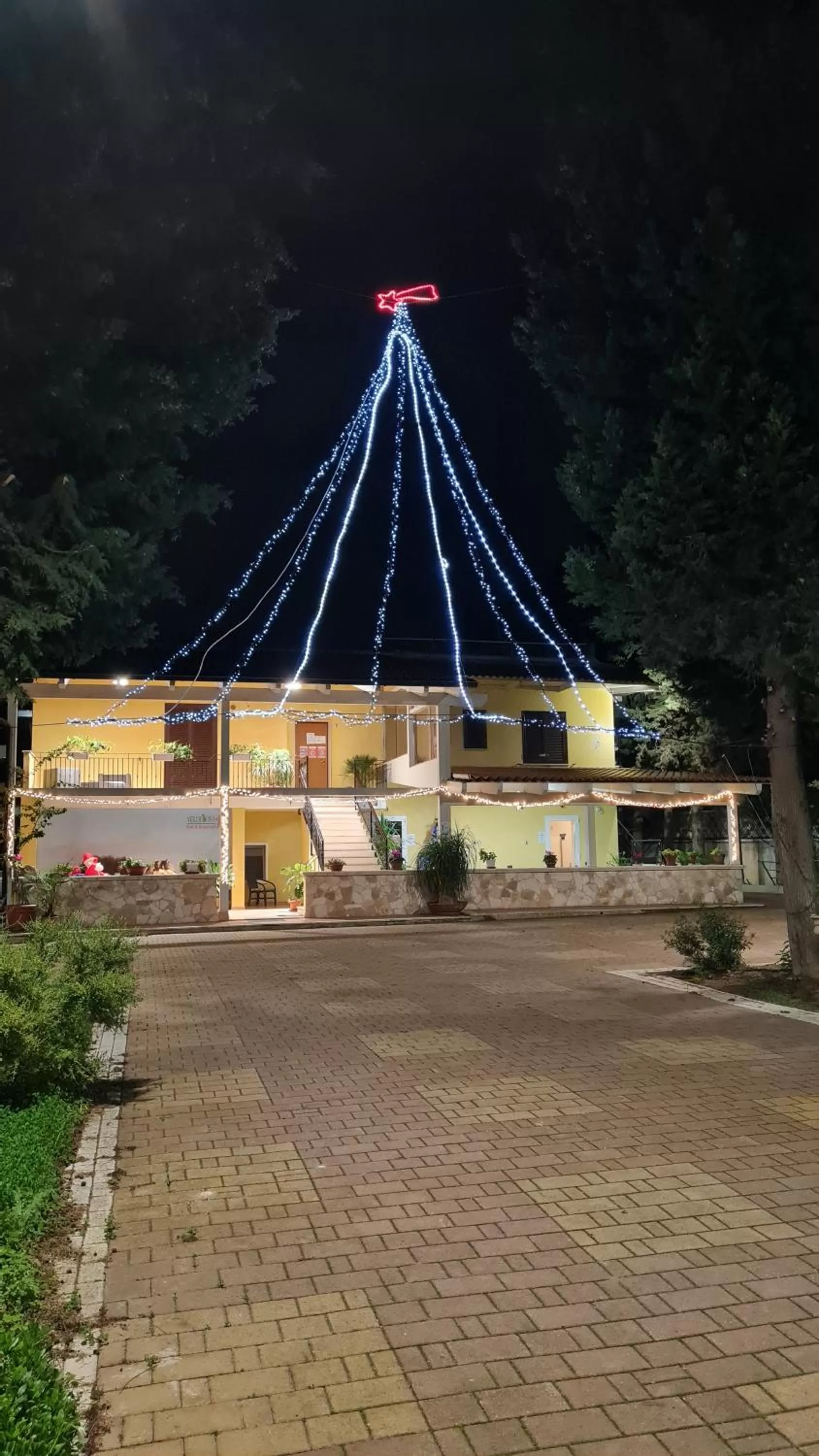 Night in B&B Verdeoliva