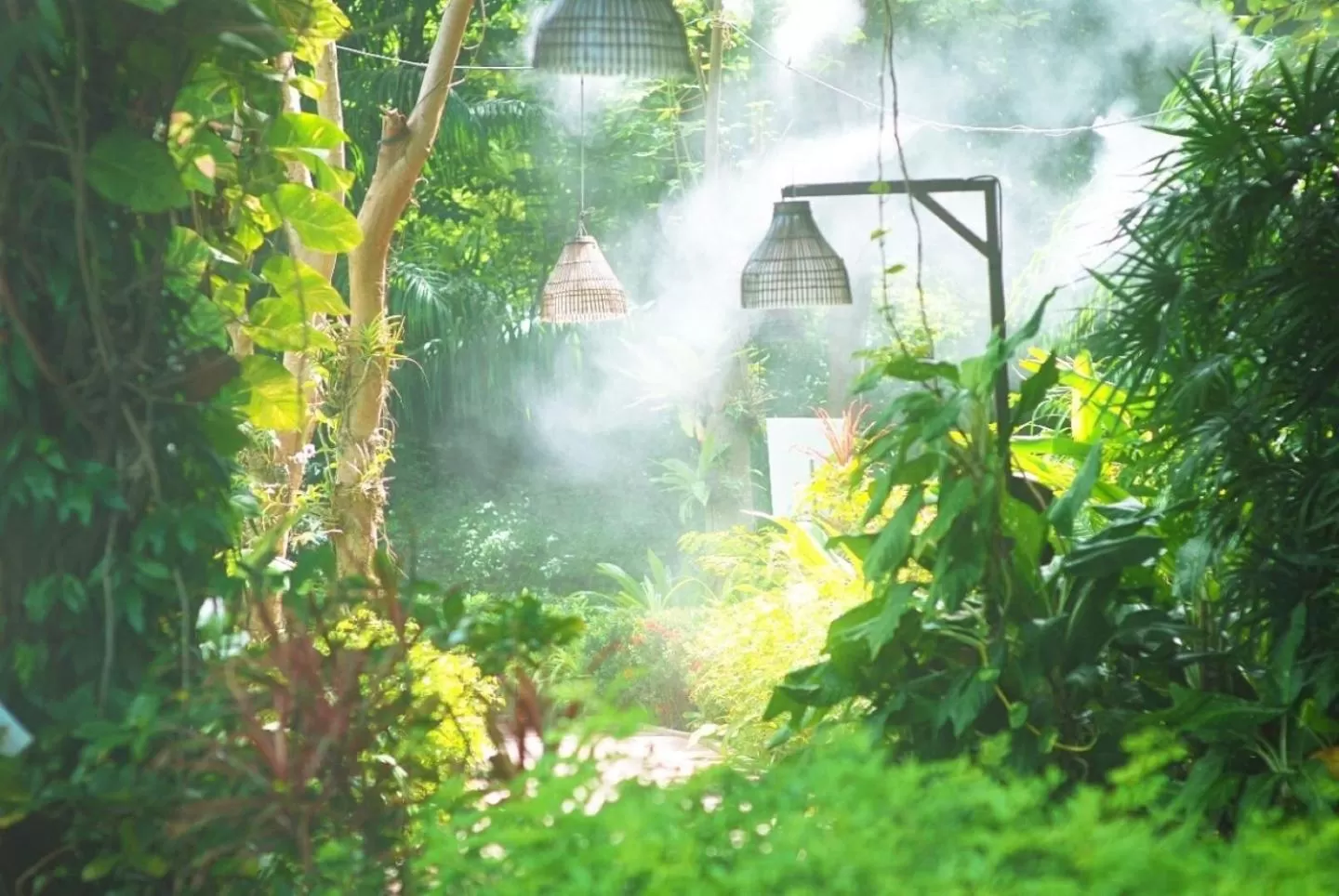 Natural landscape in Birds and Bees Resort