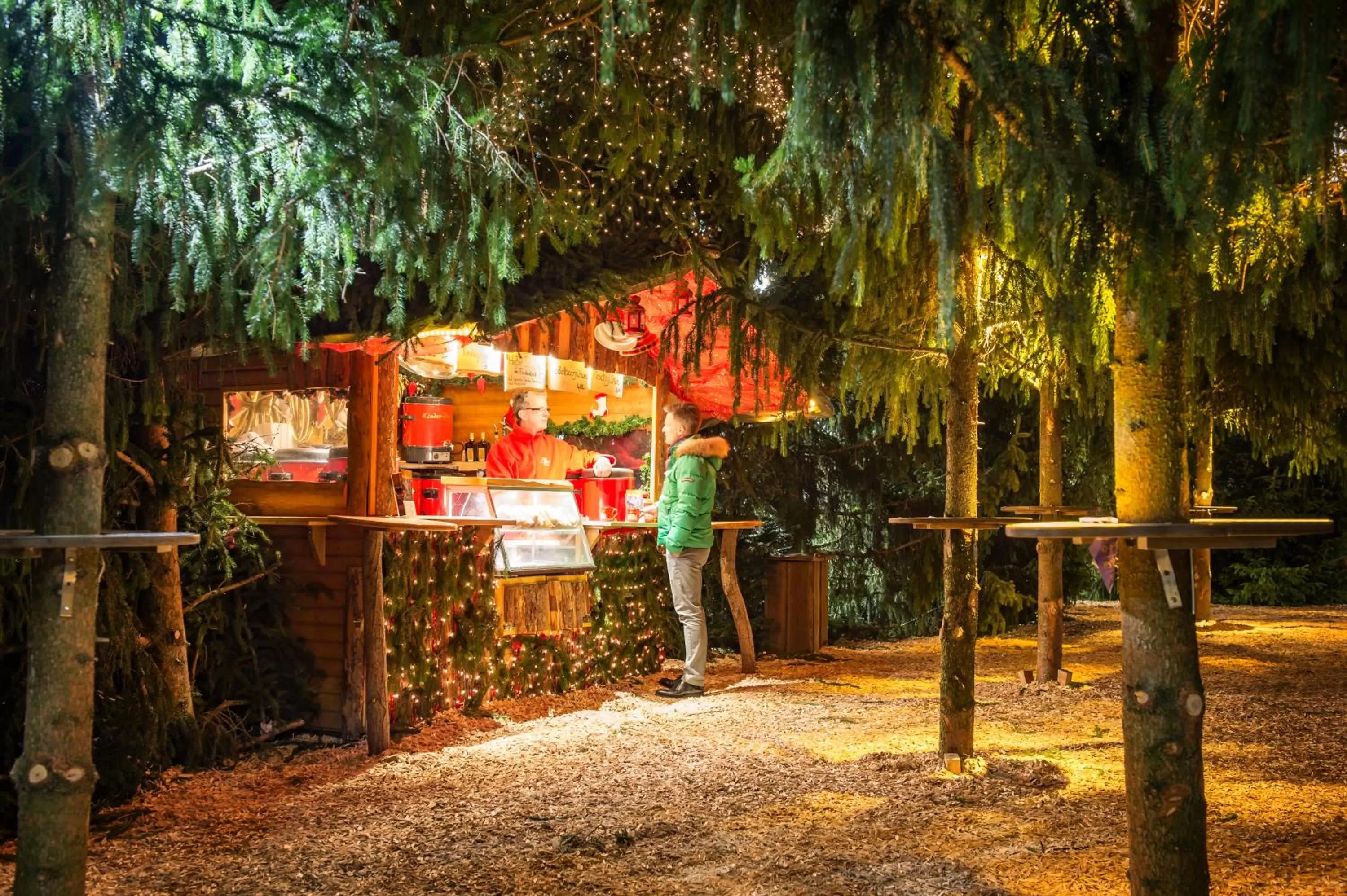 Communal lounge/ TV room in Hotel Die Tanne