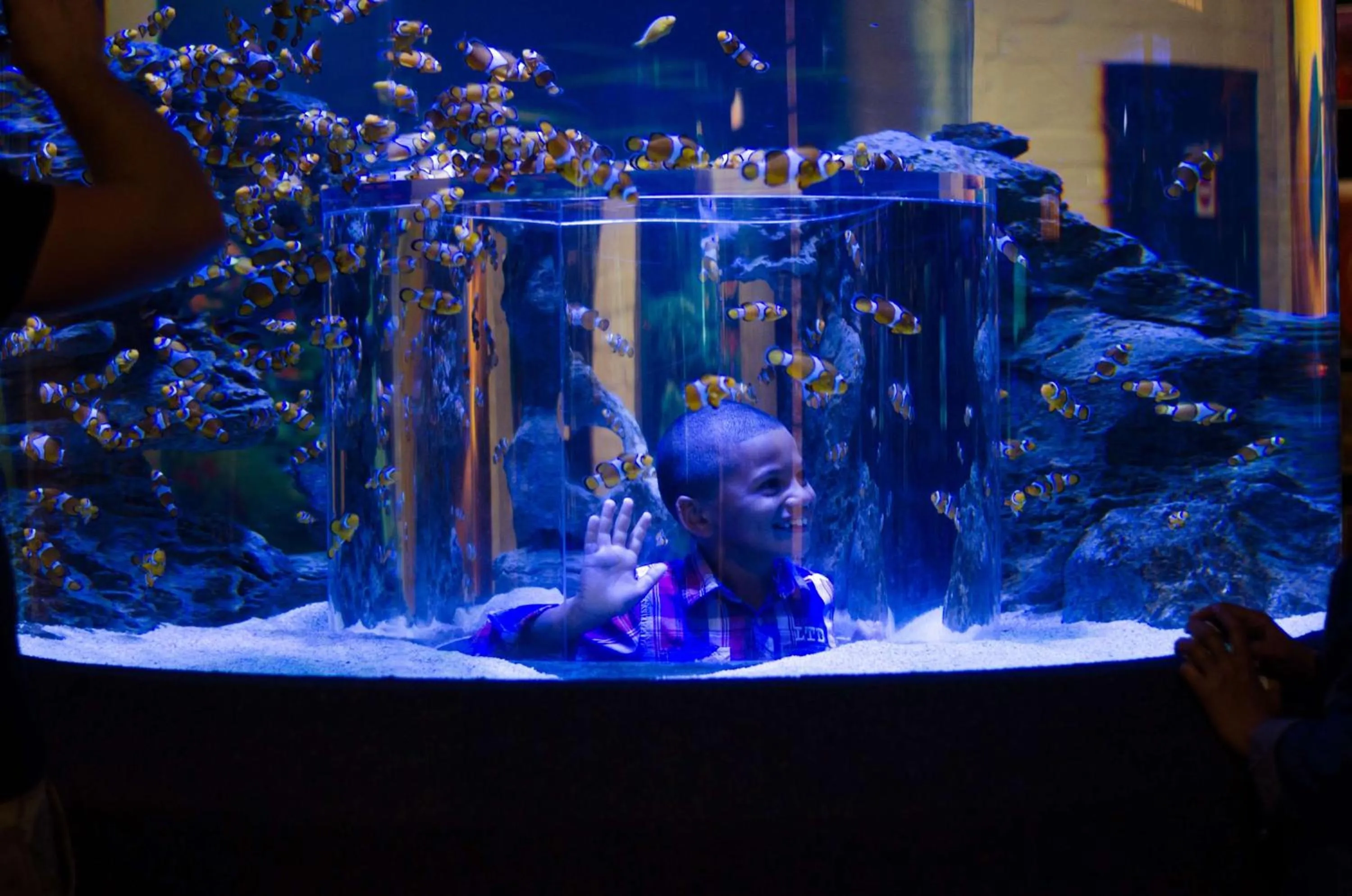 People in Fountains Hotel