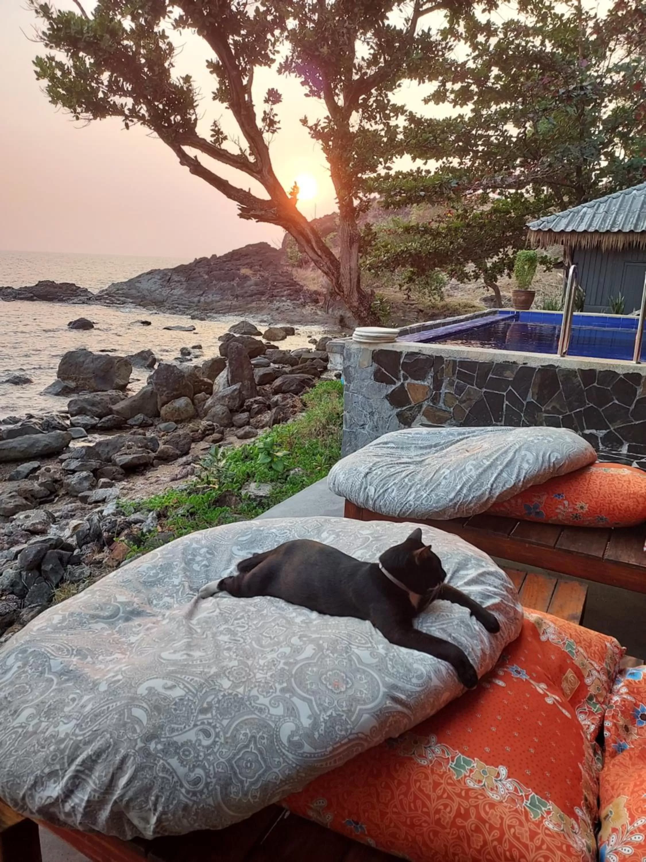 Patio in Cliff Cottage