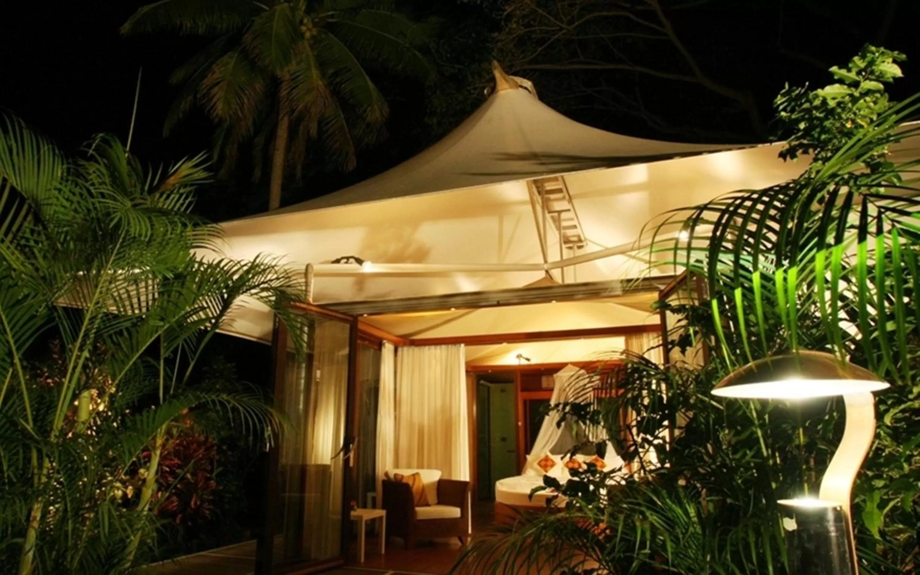 Night in The Fiji Orchid