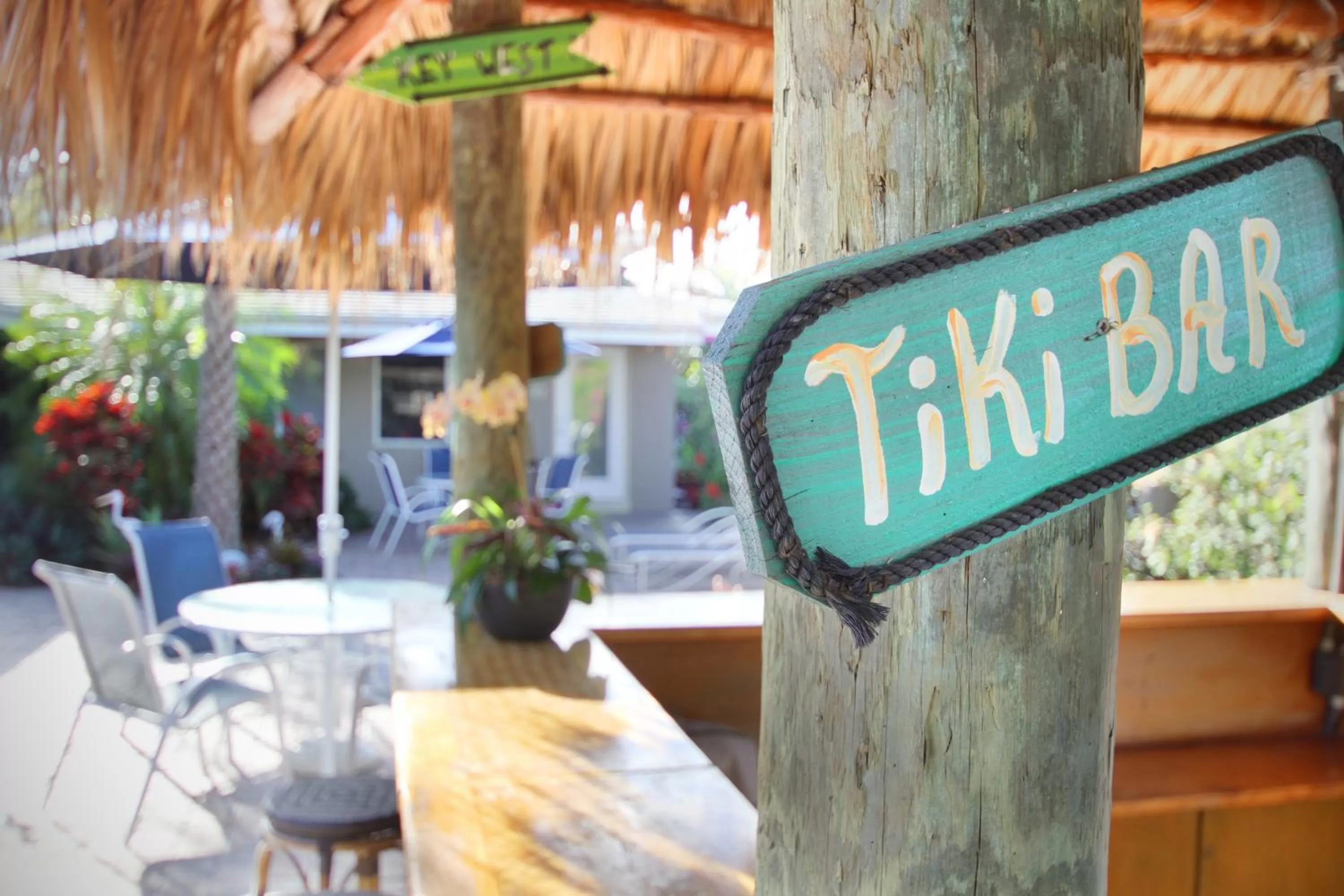 Garden in Casitas Coral Ridge