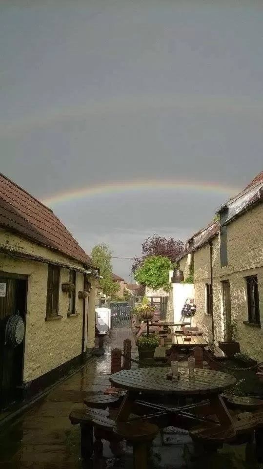 Garden view in The Swan