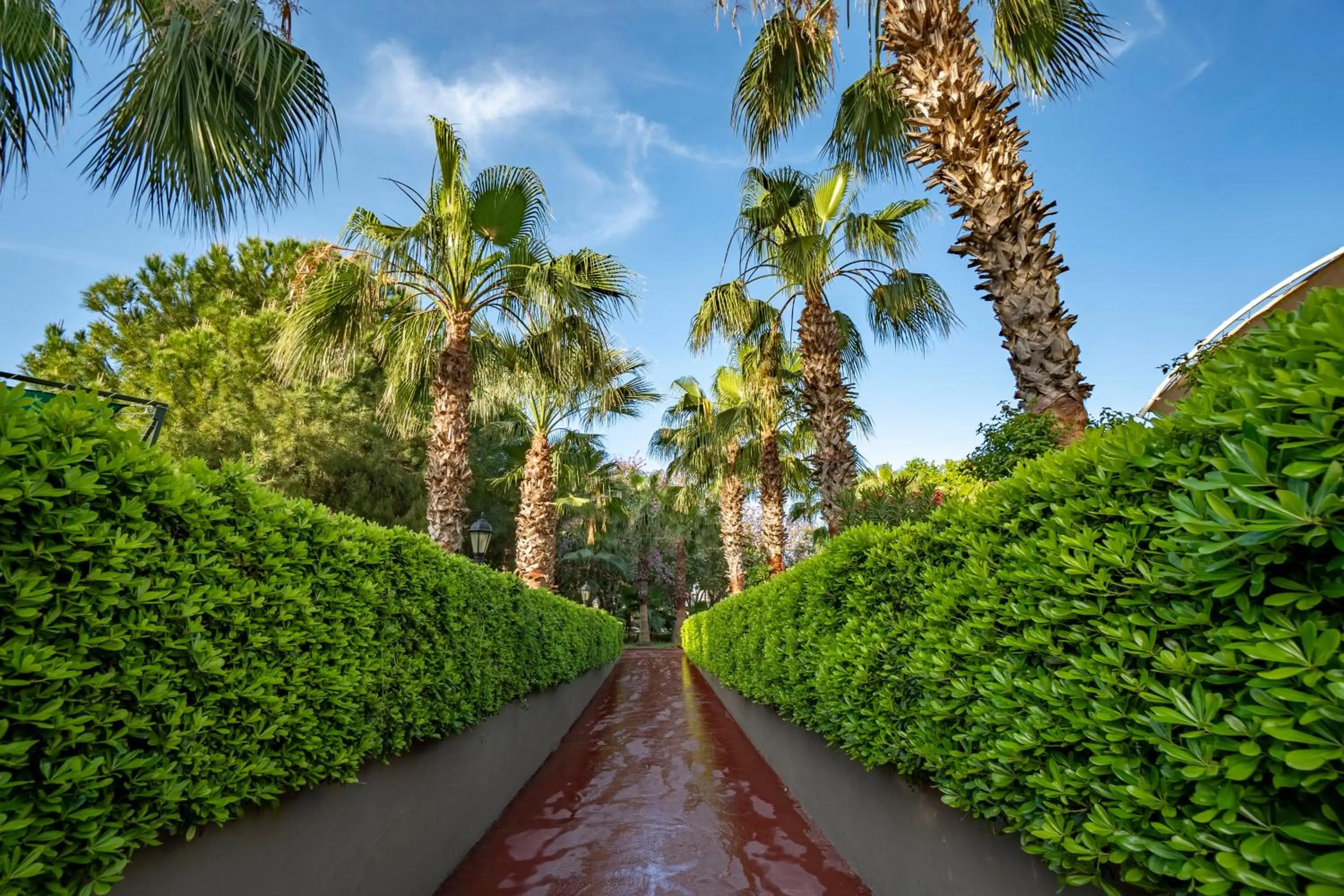 Garden view in Side Breeze Hotel