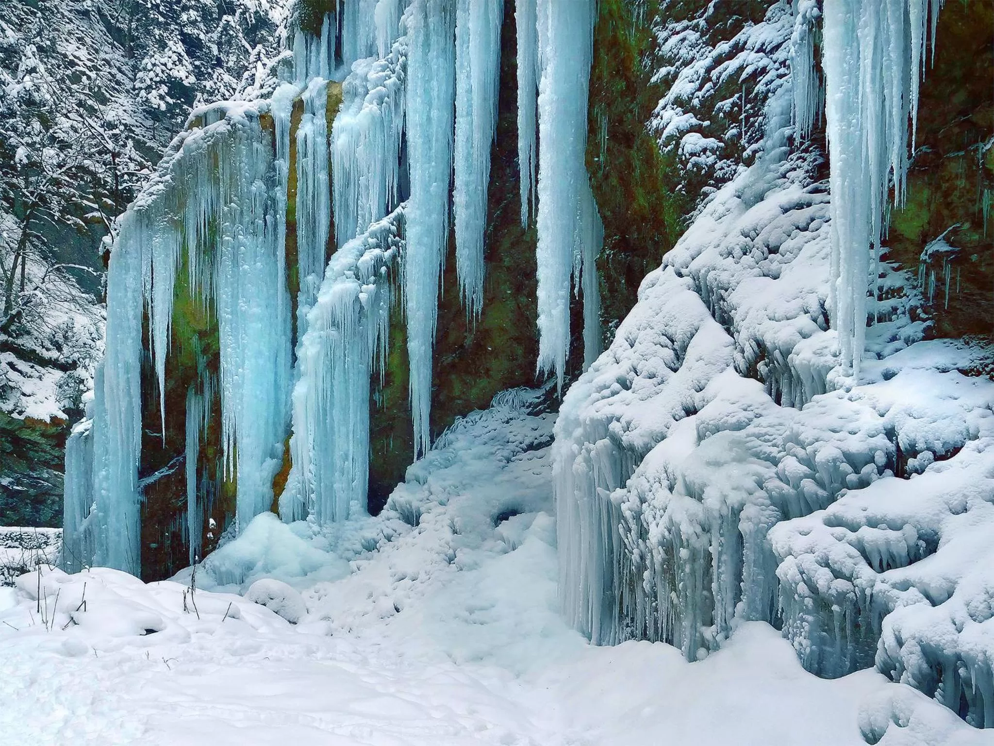 Natural landscape in Landgasthof Zollhaus