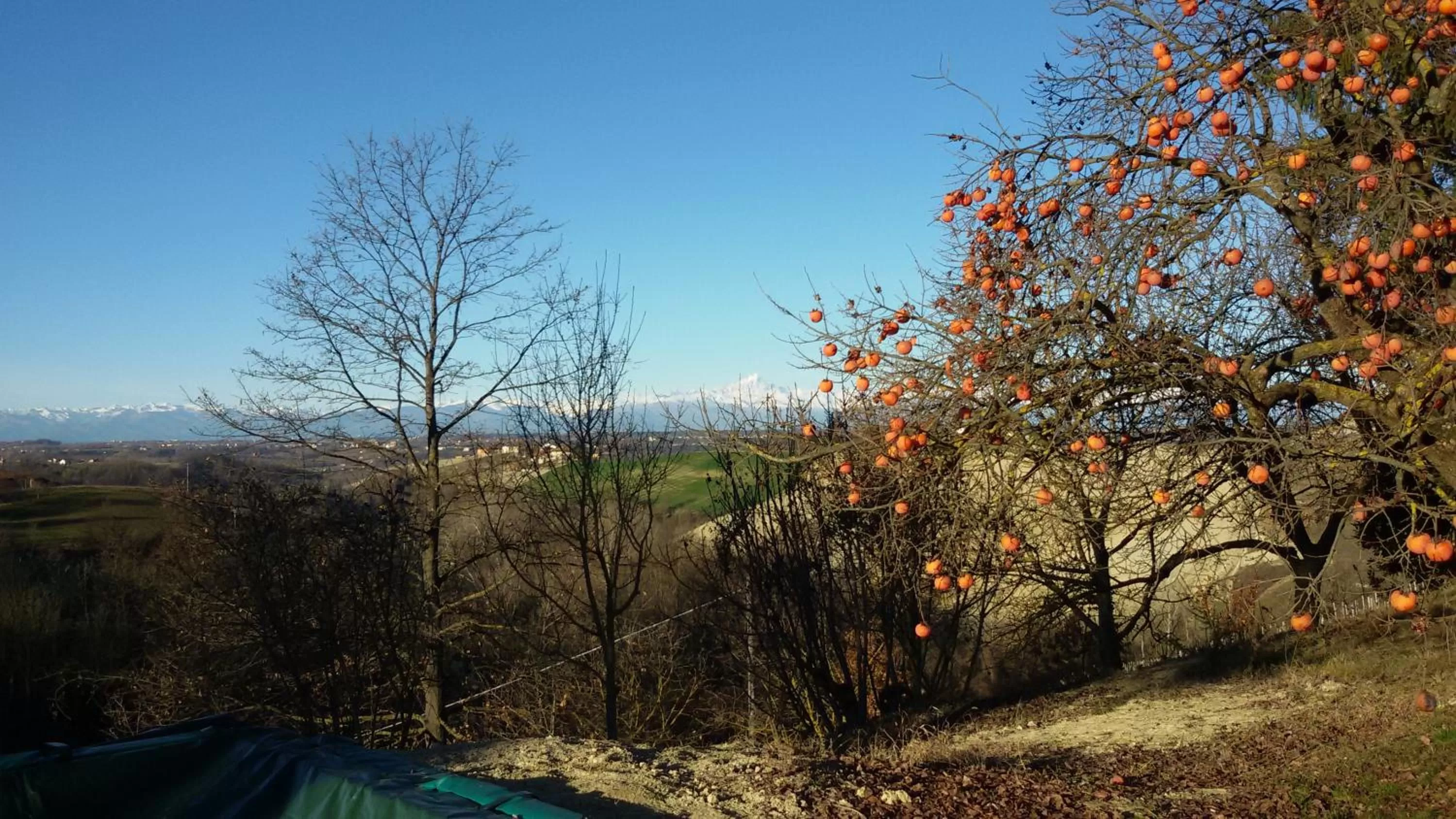 Other in Cascina Torello