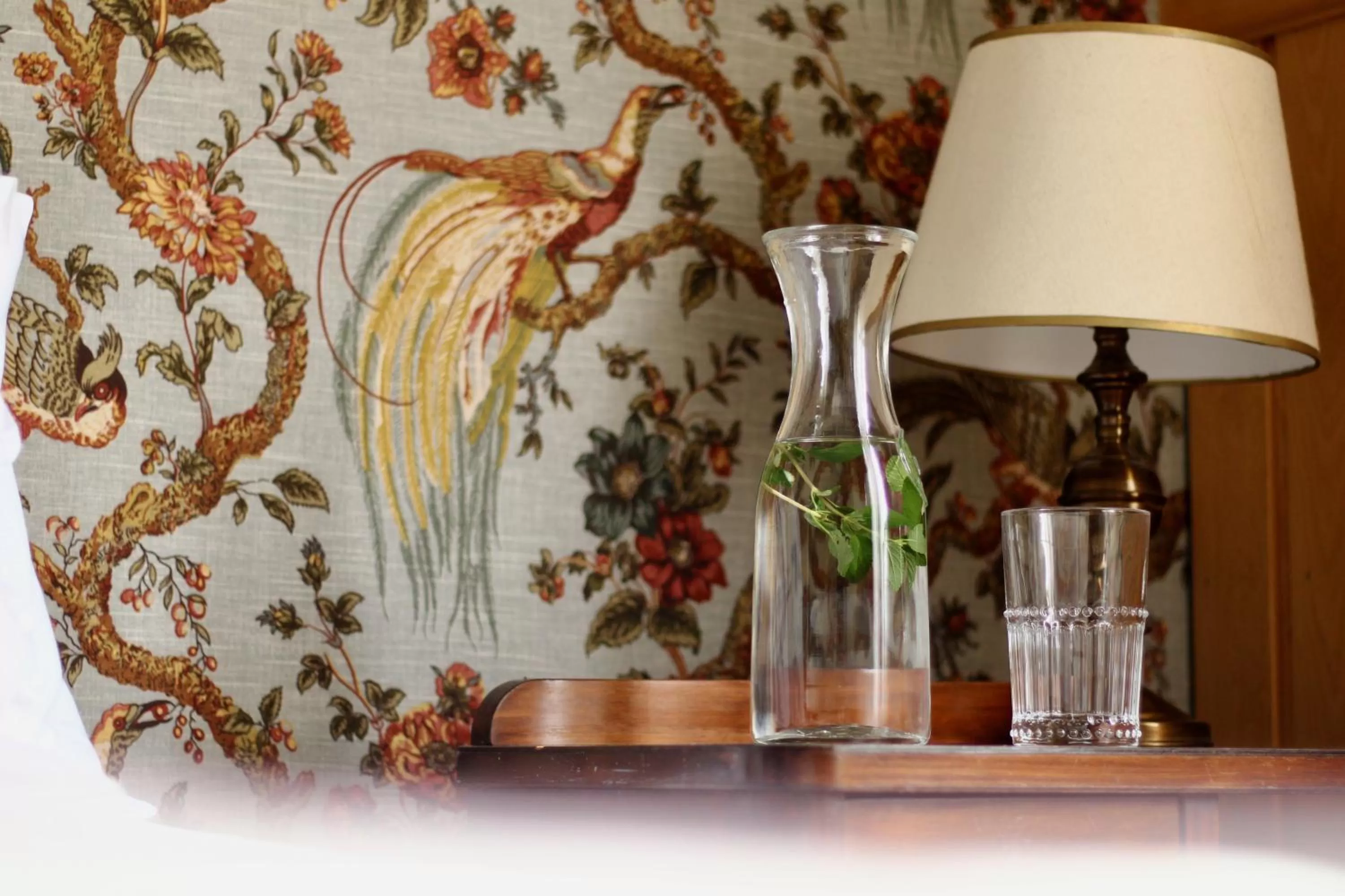 Drinks in Hotel Boutique Casa Werner