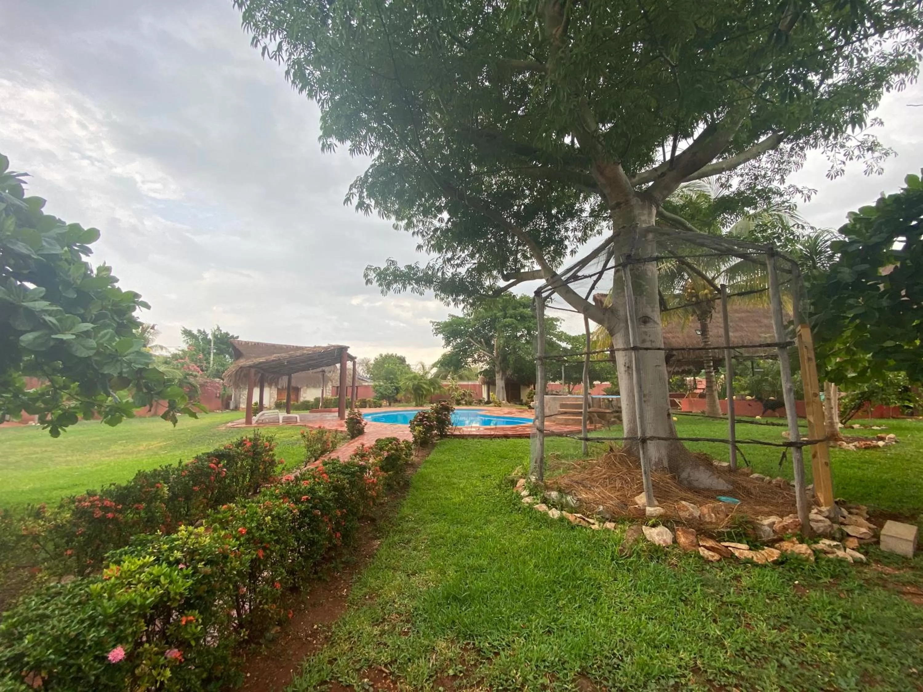 Garden in Mangrove King Fishing Lodge