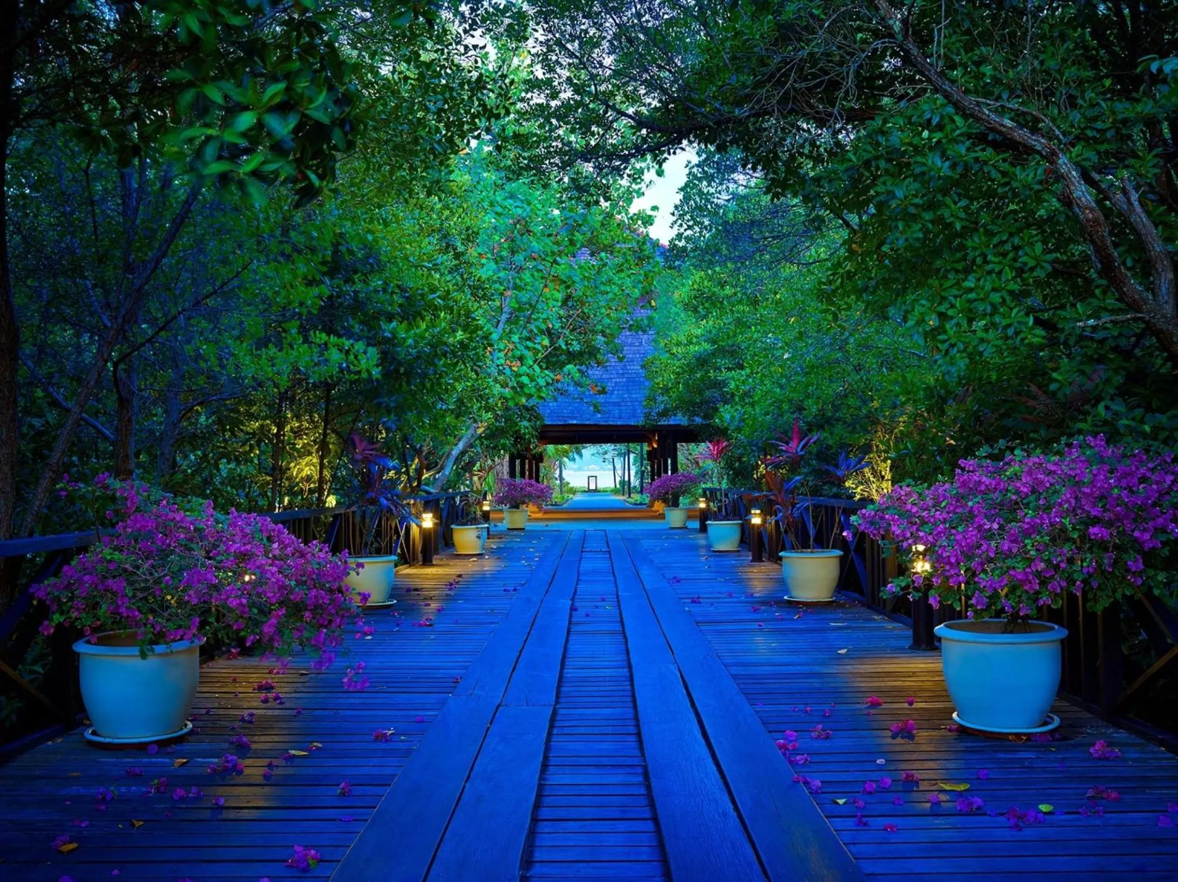 Property building in Rebak Island Resort & Marina, Langkawi 大自然 野生动物与美食爱好者的天堂