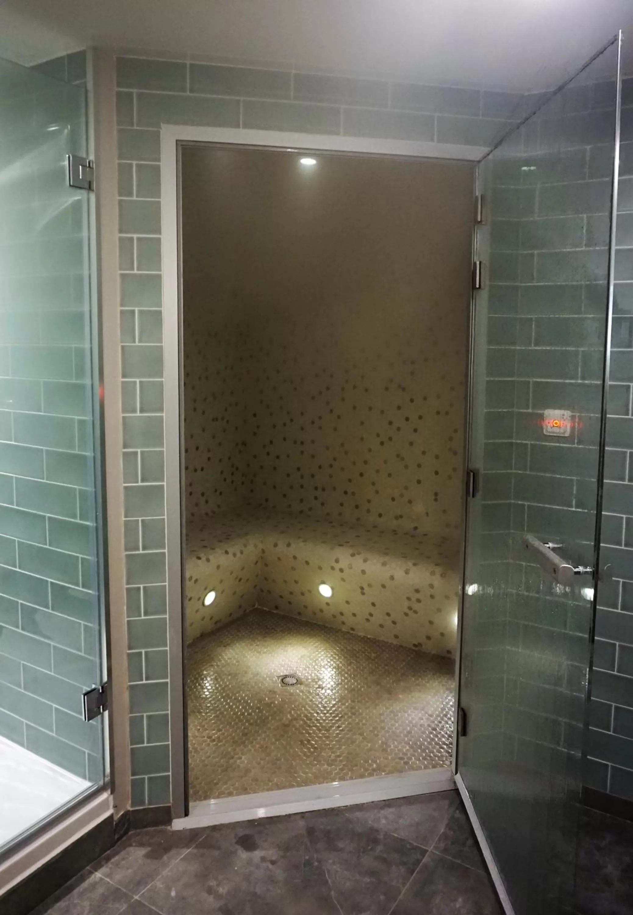 Steam room in Hotel Locomo - Gare de Lyon Bastille