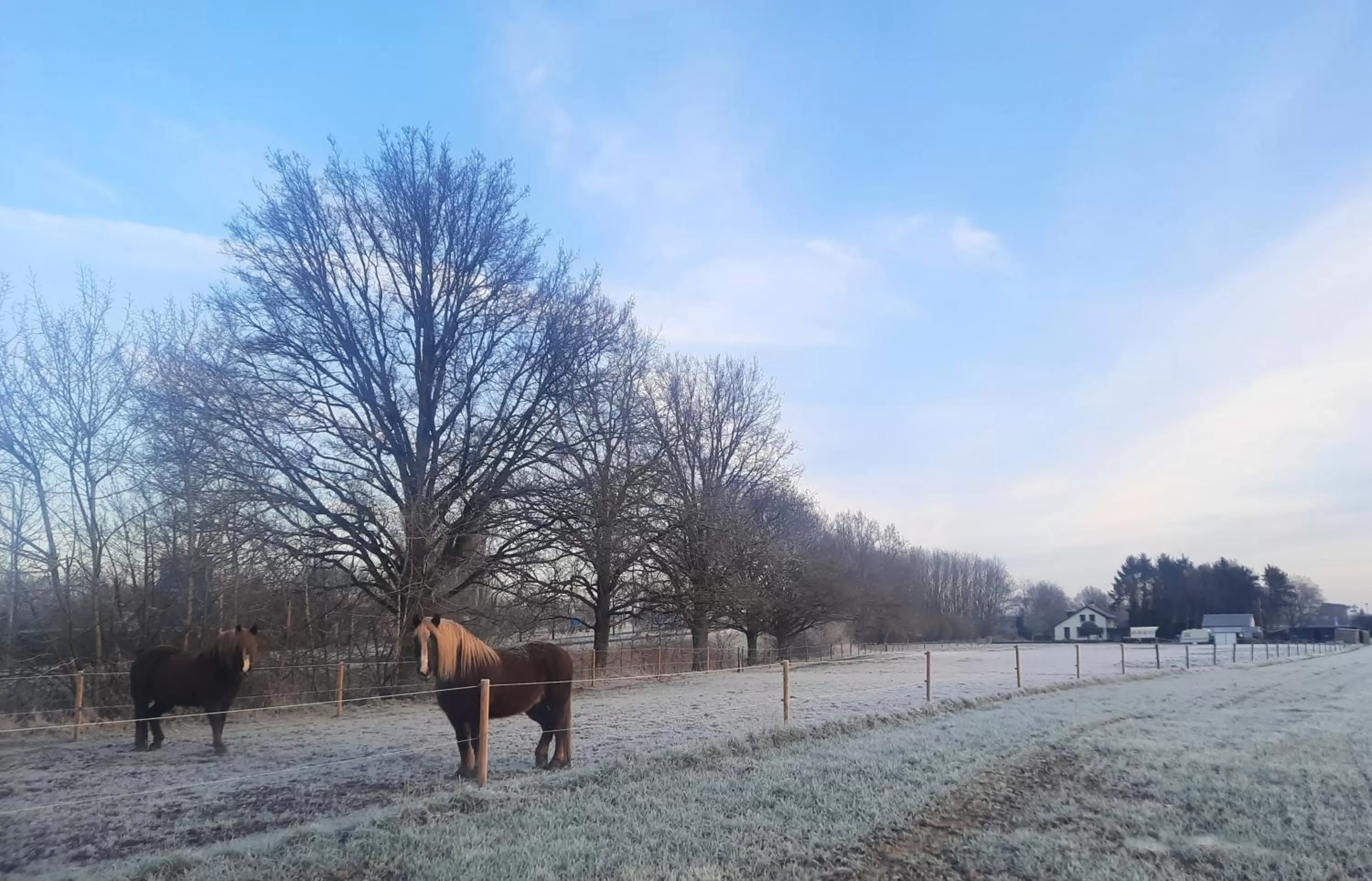 Day, Winter in Gastenverblijf de Vense Weide
