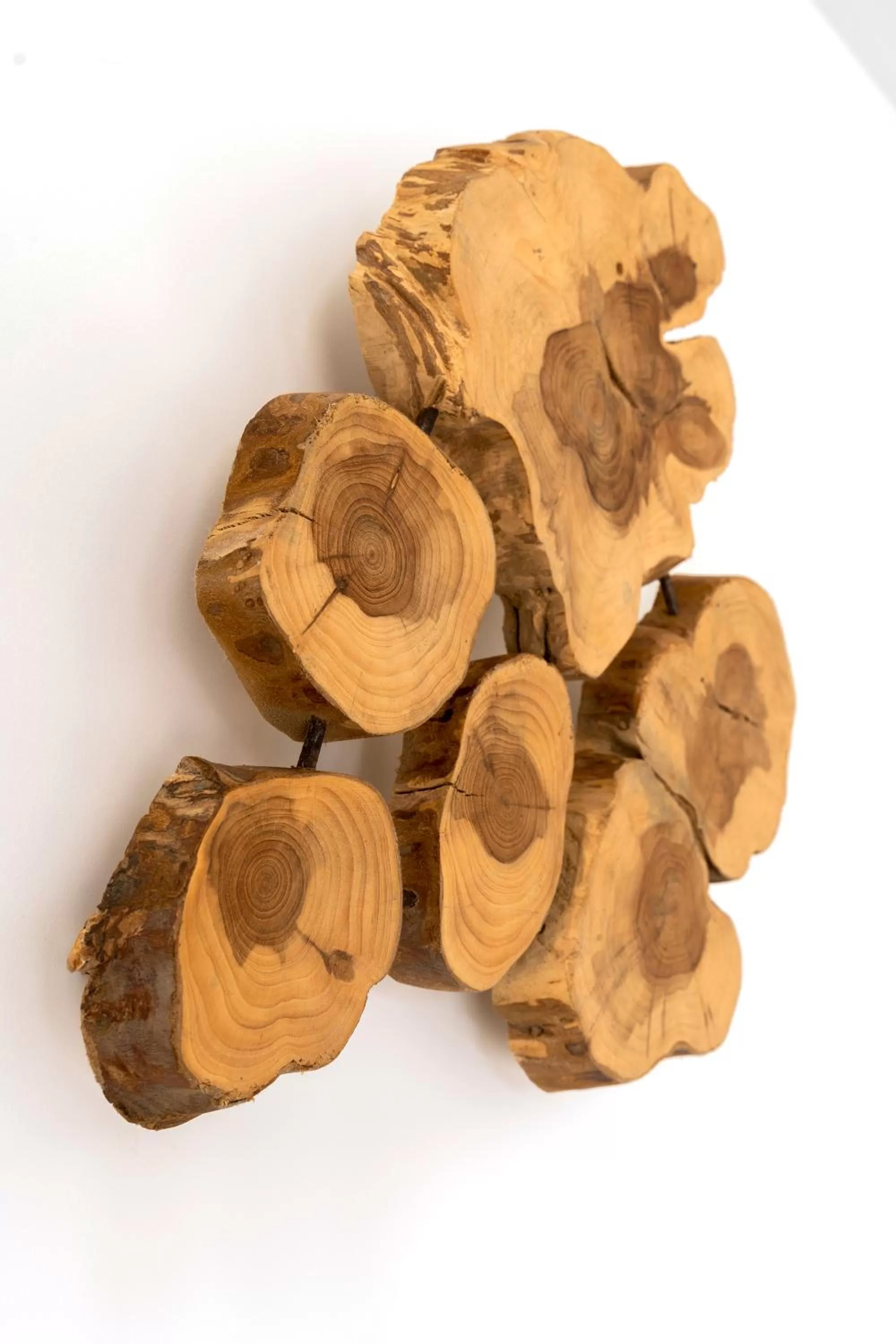 Decorative detail in HOTEL LE 25