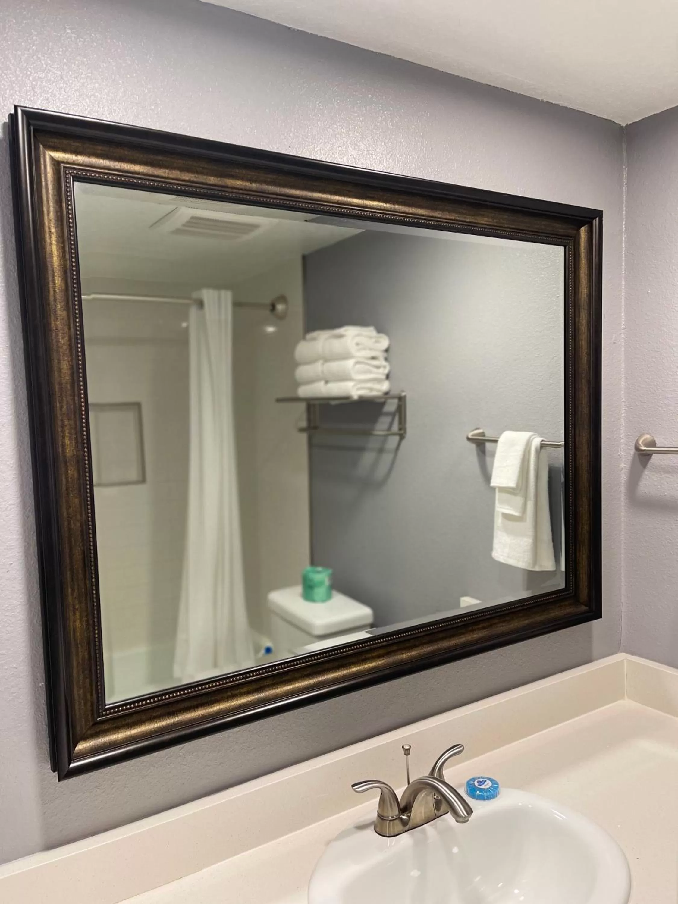 Bathroom in Celebration Suites