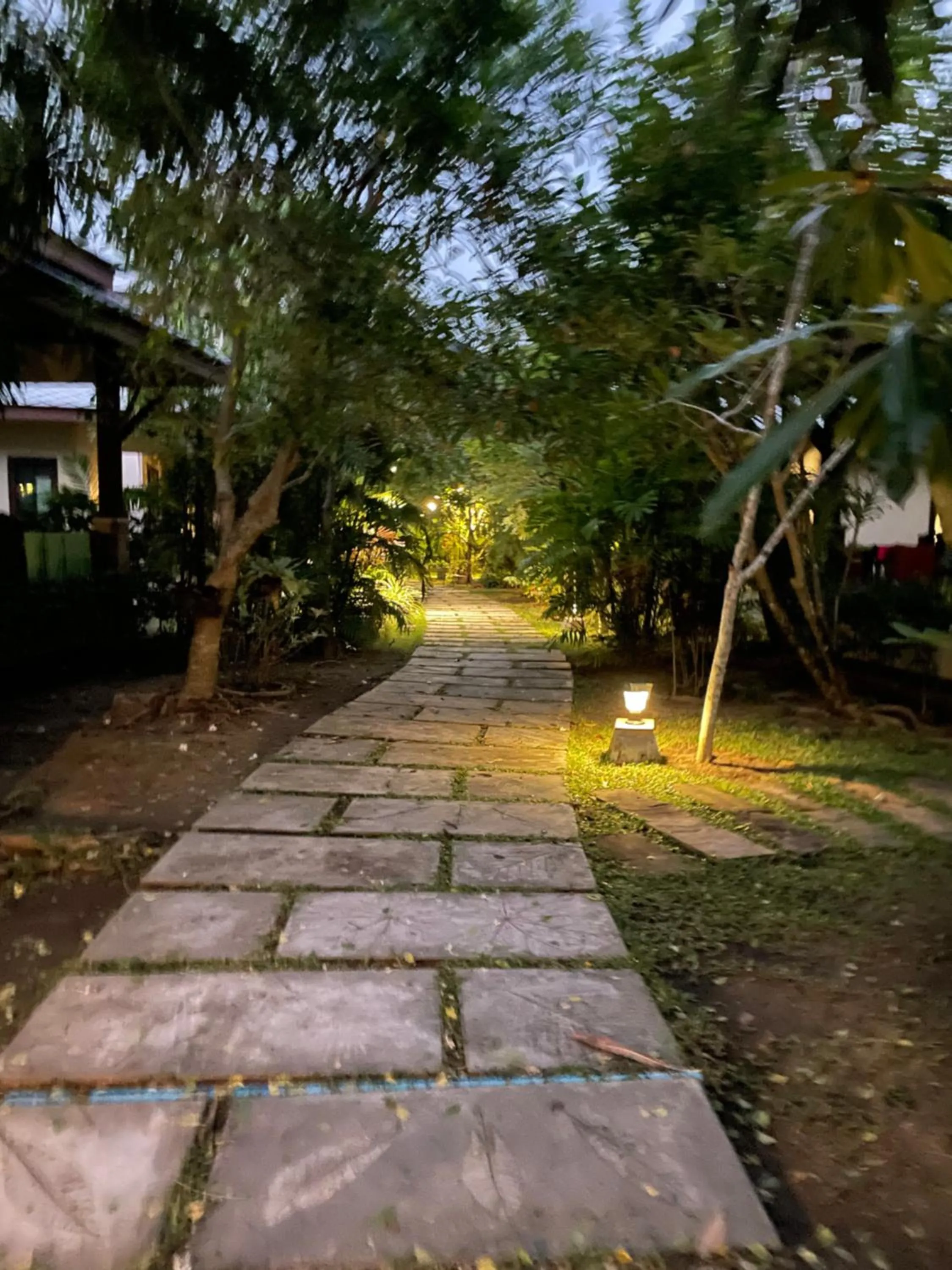 Garden in Grand Manita Beach Resort
