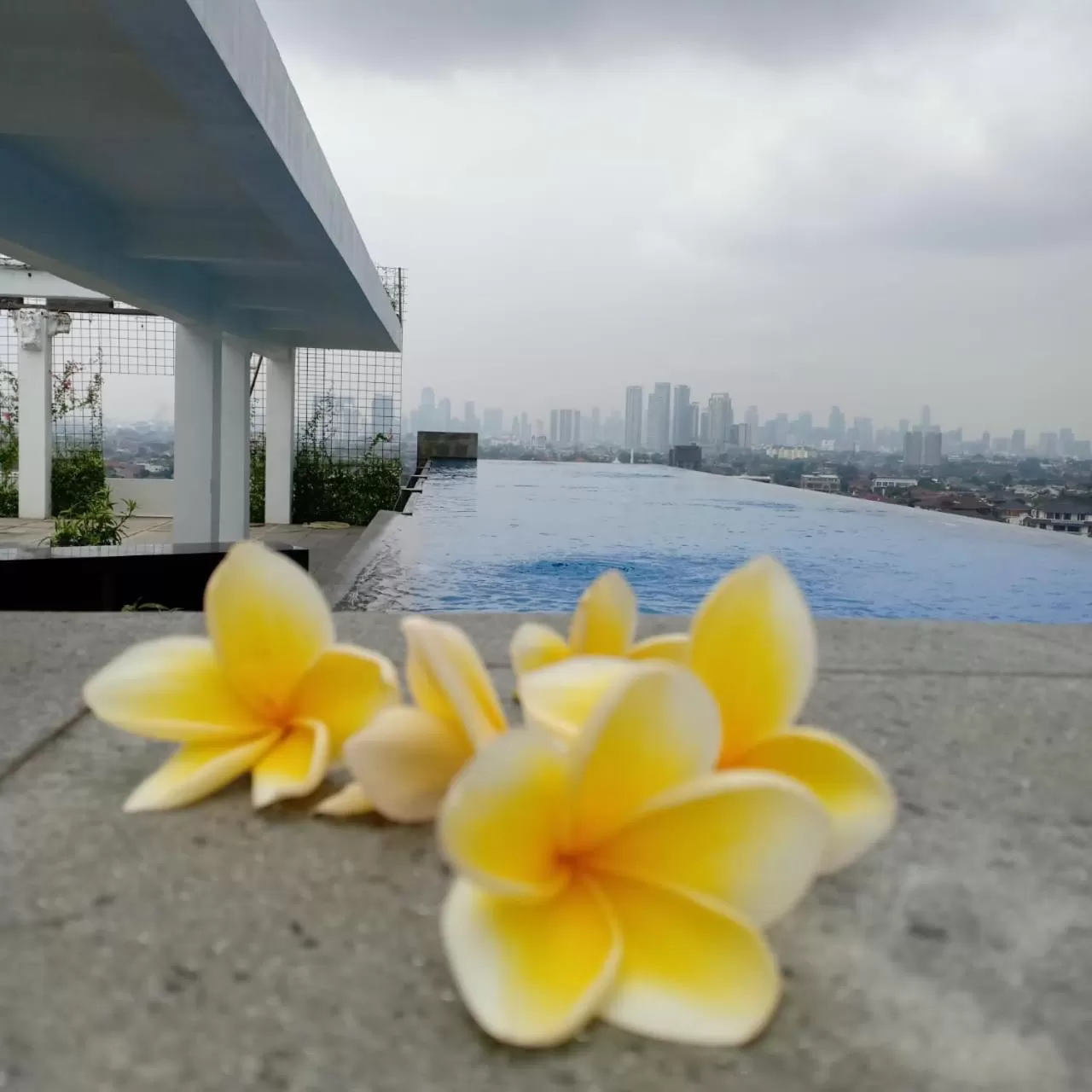 Pool view in Azana Suites Hotel Antasari