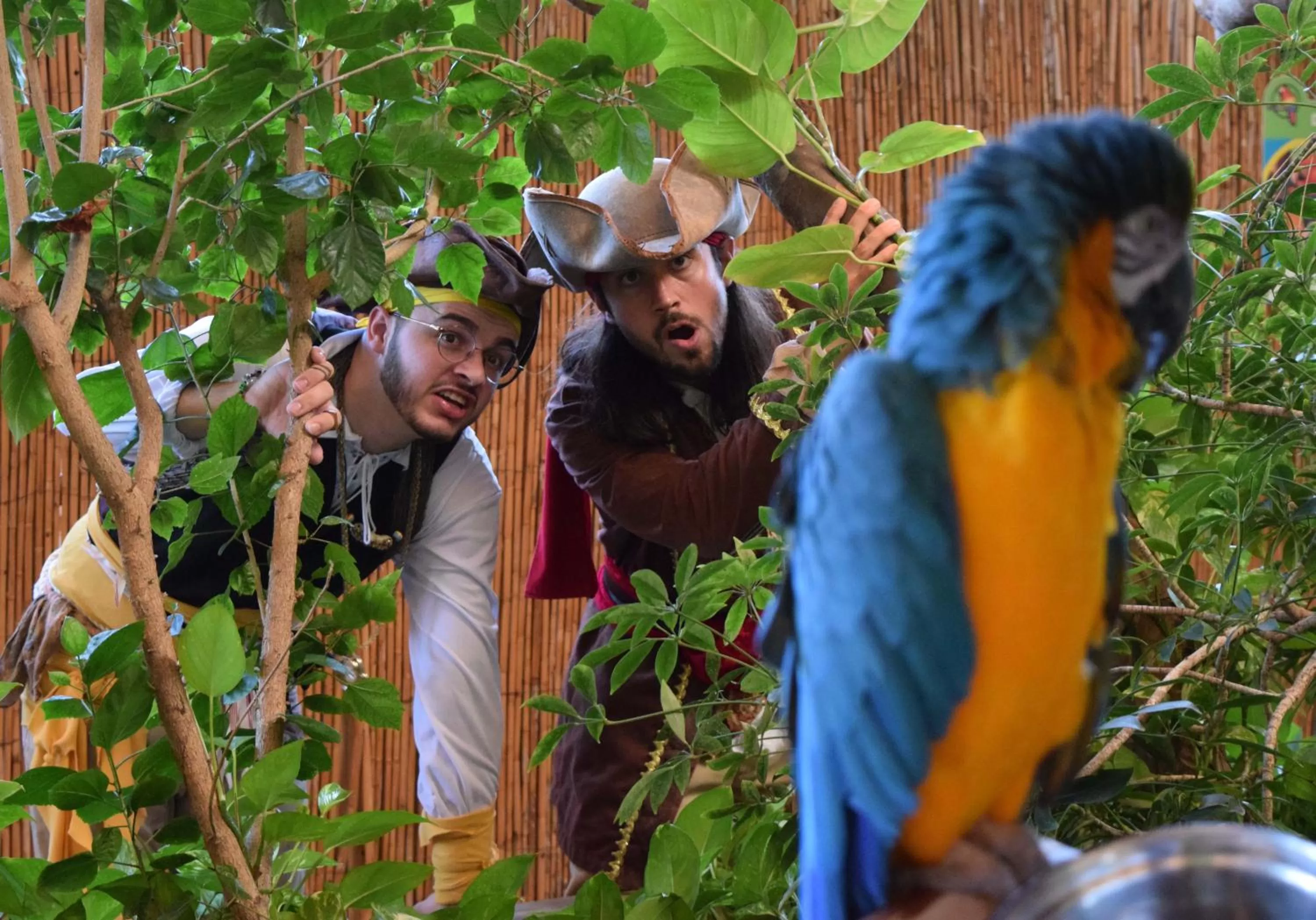 Natural landscape in Days Inn by Wyndham Panama City Beach Beachfront Resort