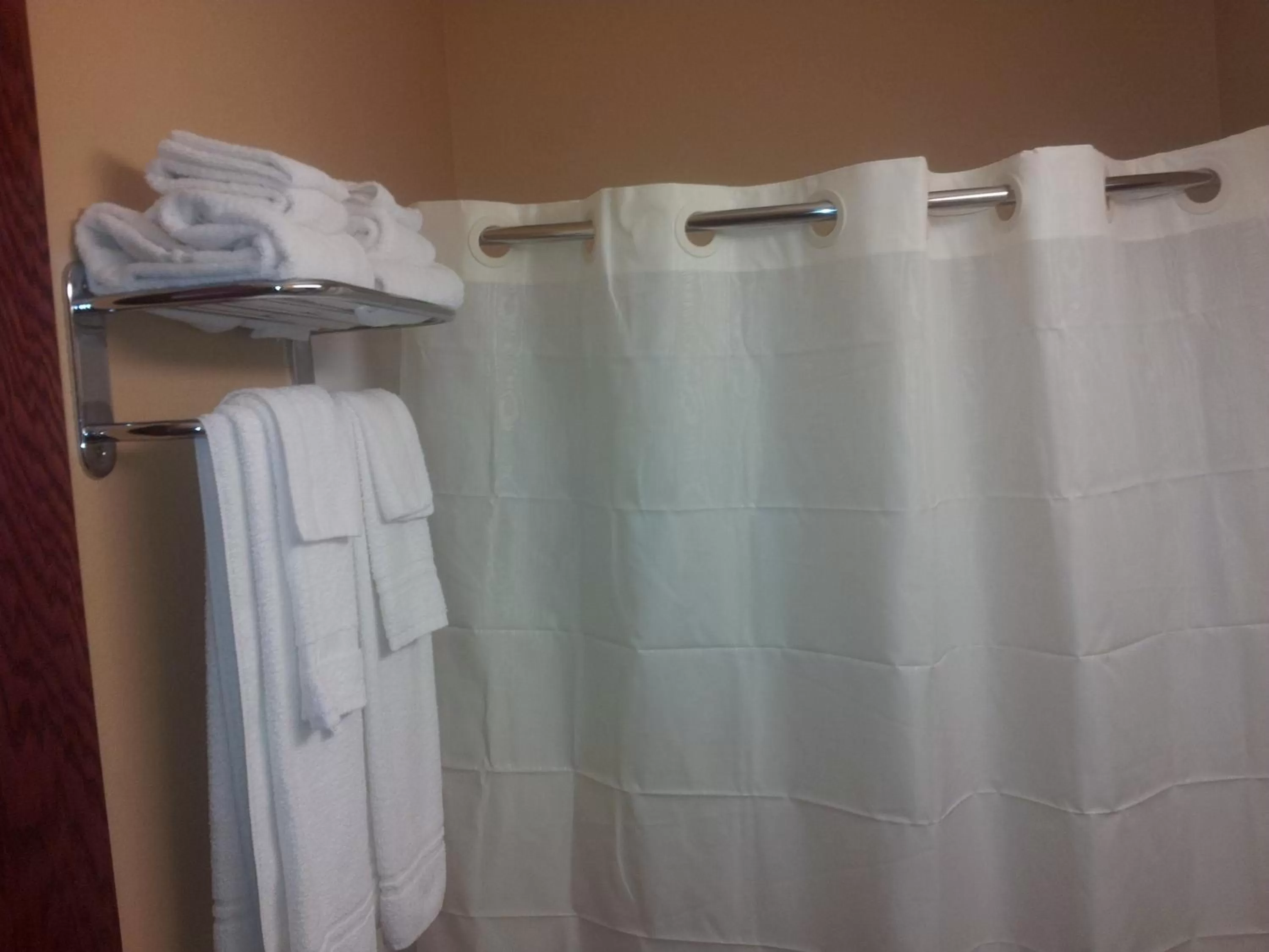 Shower in Microtel Inn by Wyndham Rogers