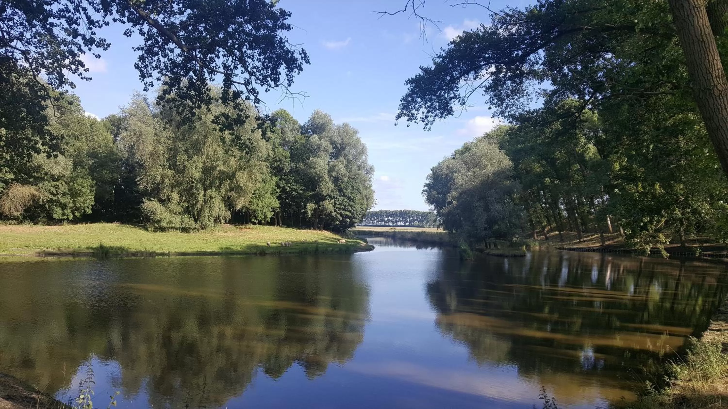 Natural landscape in Hotel Le Provencal